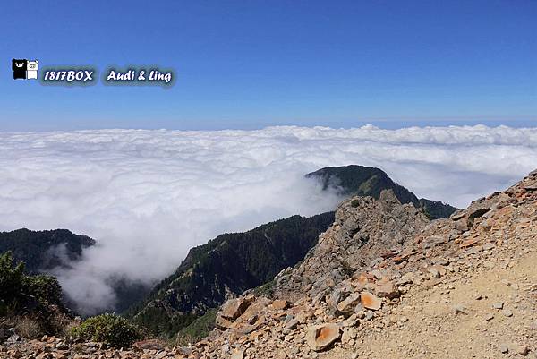 【南投。信義】玉山主峰一日單攻。在雲之上。台灣群山之首。百岳排名第一。東北亞的最高峰。看見台灣之美