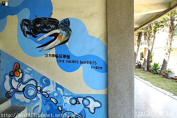 【雲林。台西】台西國小。利用校園濃密的樹蔭打造全國第一間海洋森林教室。以蚵殼串掛的簾幕為牆。海洋藝術學校
