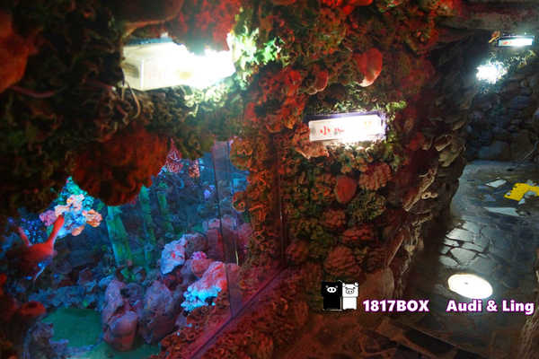 【澎湖。西嶼】竹灣大義宮。澎湖唯一合法飼養海龜的廟宇。地下室海底龍宮。蓮花珊瑚洞