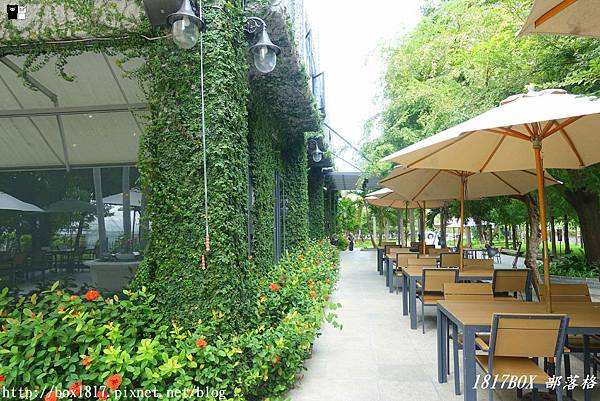 【彰化。北斗】家園藝術咖啡牛排館。綠意空間。複合式庭園餐廳