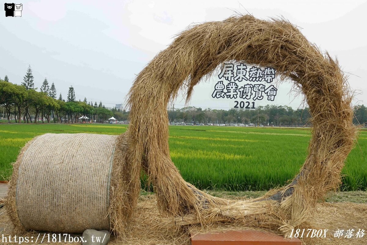 【屏東。長治】2021屏東熱帶農業博覽會。彩繪稻田。旋轉木馬超吸睛 @1817BOX部落格