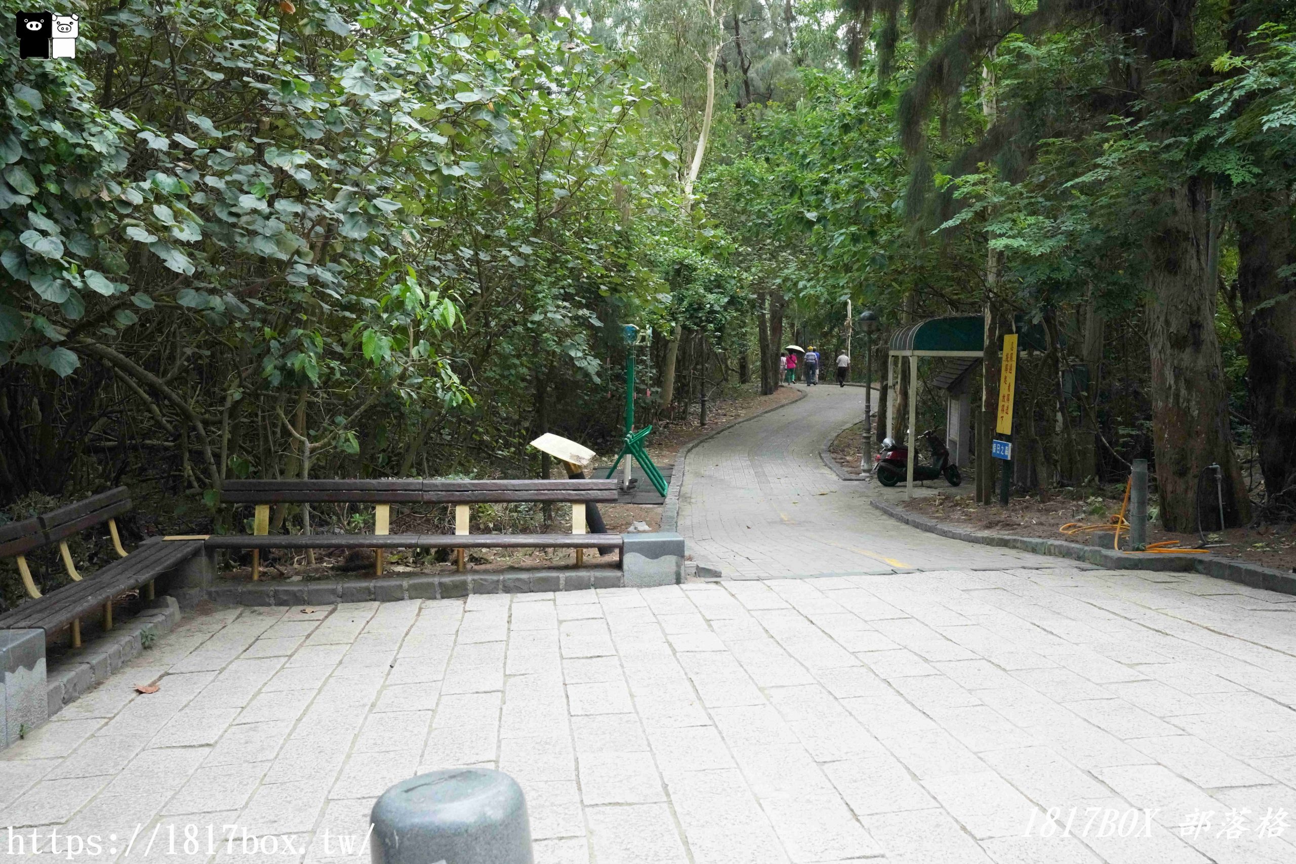 【苗栗。竹南】竹南鎮濱海森林遊憩區。假日之森。晴天也能拍出天空之鏡