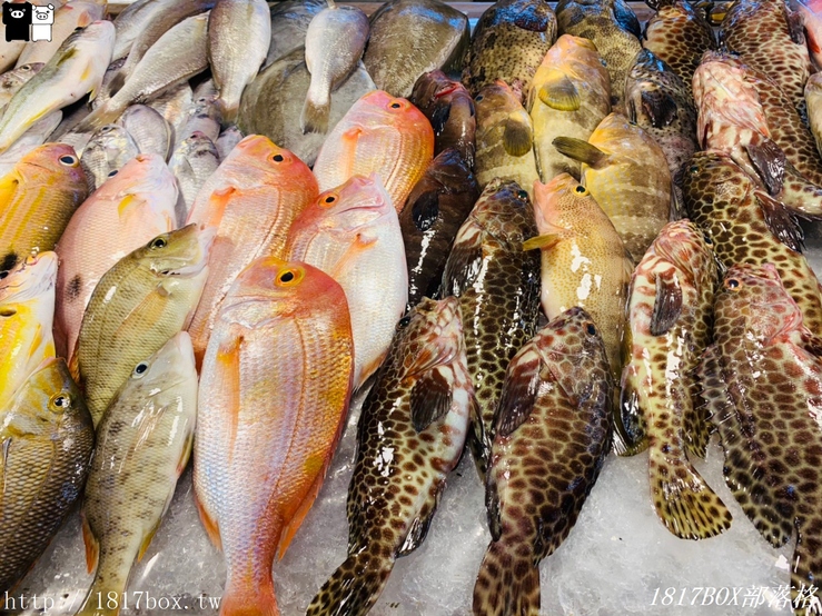 【新竹。北區】南寮漁港。新竹漁港漁產品直銷中心 @1817BOX部落格