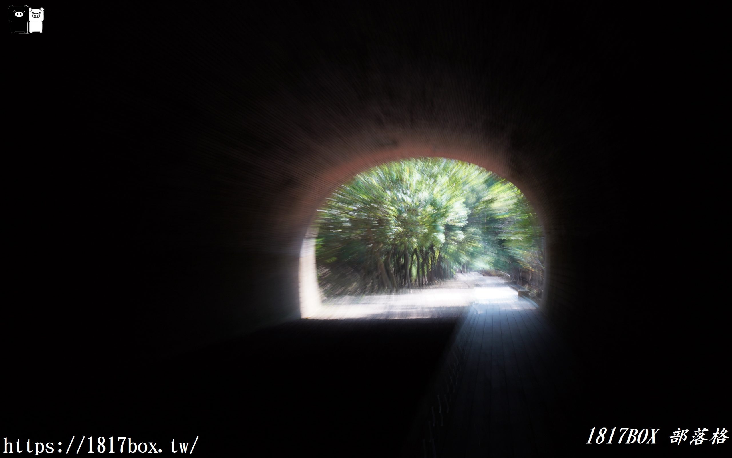 【苗栗。竹南】崎頂子母隧道。苗栗唯一的鐵路雙線子母舊隧道。日系動漫神隱少女場景