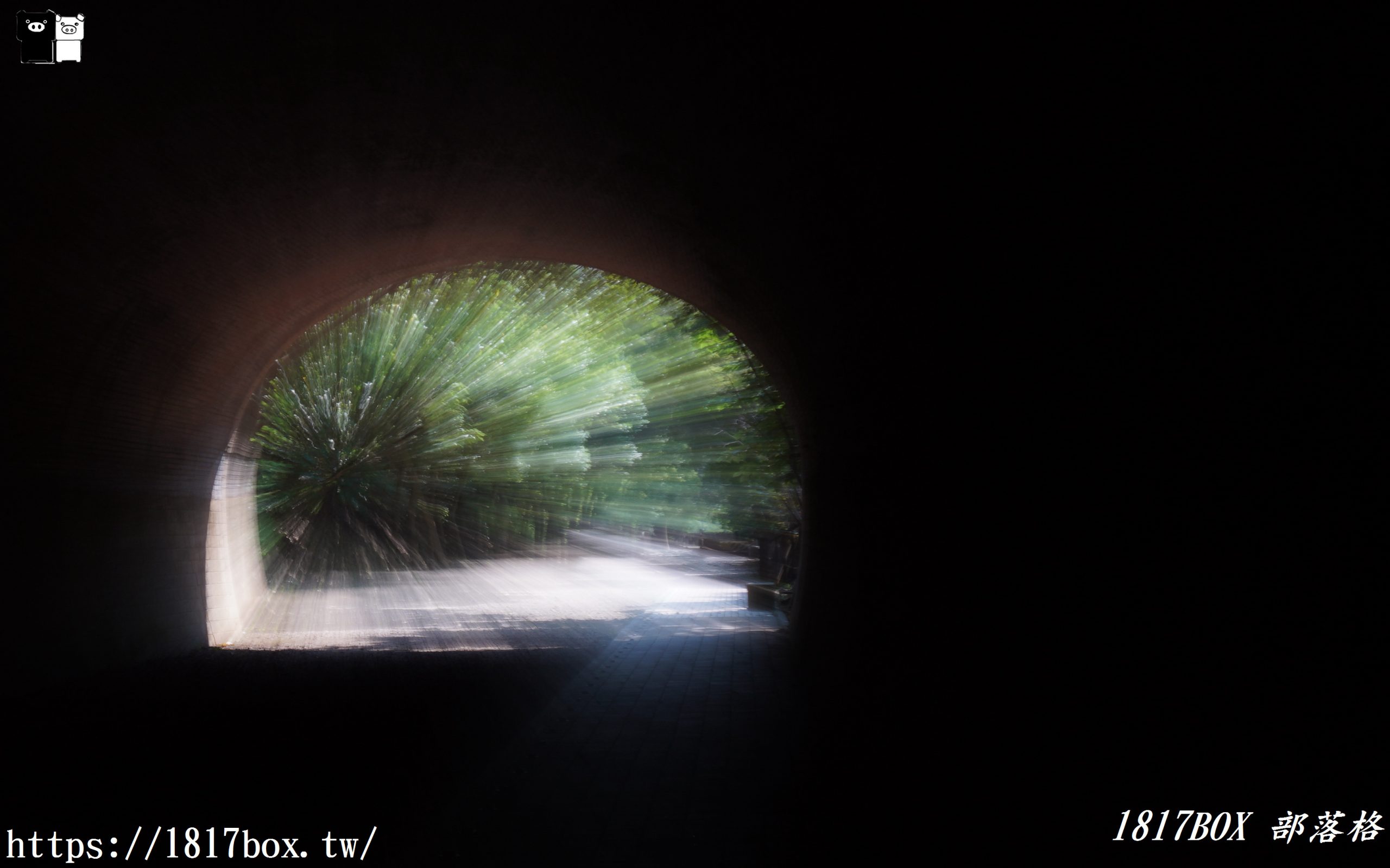 【苗栗。竹南】崎頂子母隧道。苗栗唯一的鐵路雙線子母舊隧道。日系動漫神隱少女場景 @1817BOX部落格
