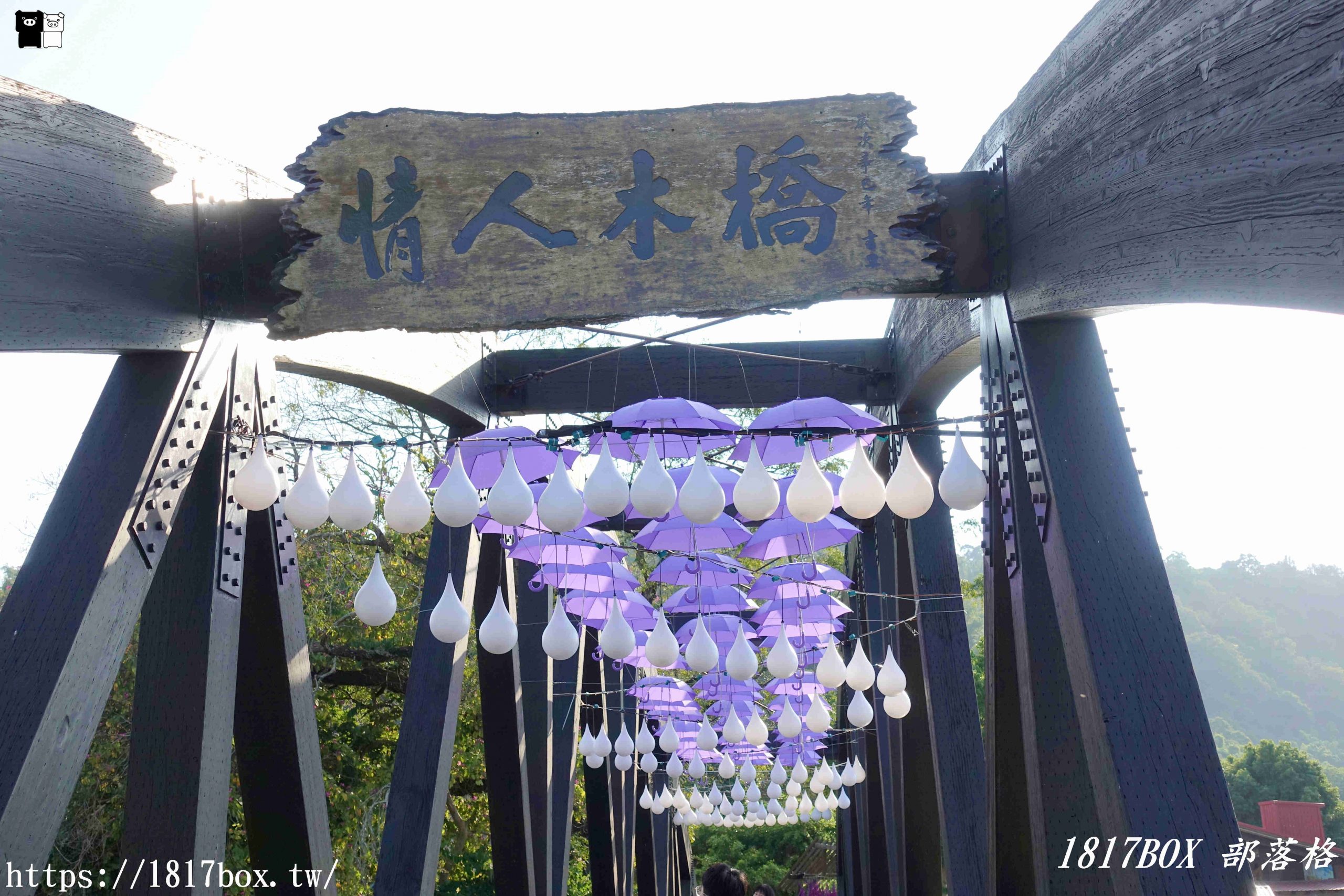 【台中。石岡】情人木橋。紫見石岡-浪漫花漾園區