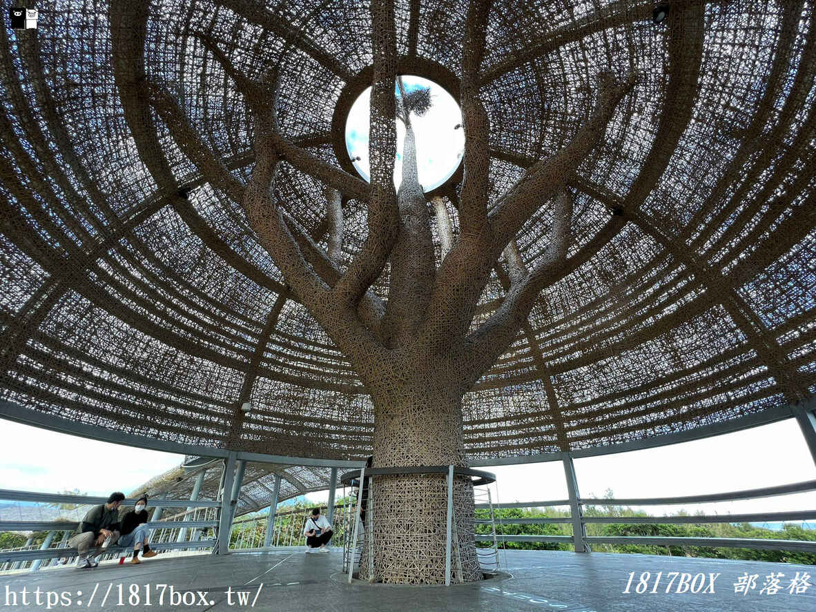 【台東市】海濱公園。國際地標－向陽樹。吹著徐徐海風。欣賞廣闊無際的太平洋 @1817BOX部落格