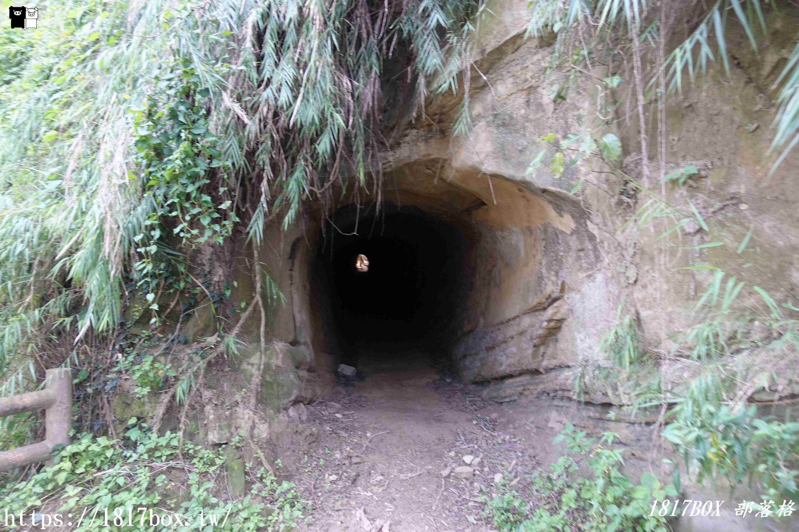 【苗栗。頭份】秘境隧道探險。頭份尿磜仔古道