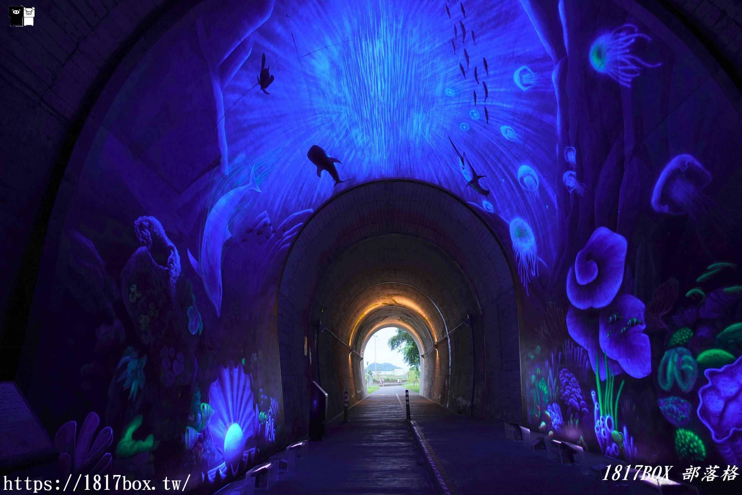 【台南。玉井】雙秀園。錫葉藤紫花隧道。各式奇花異草。免費景點 @1817BOX部落格