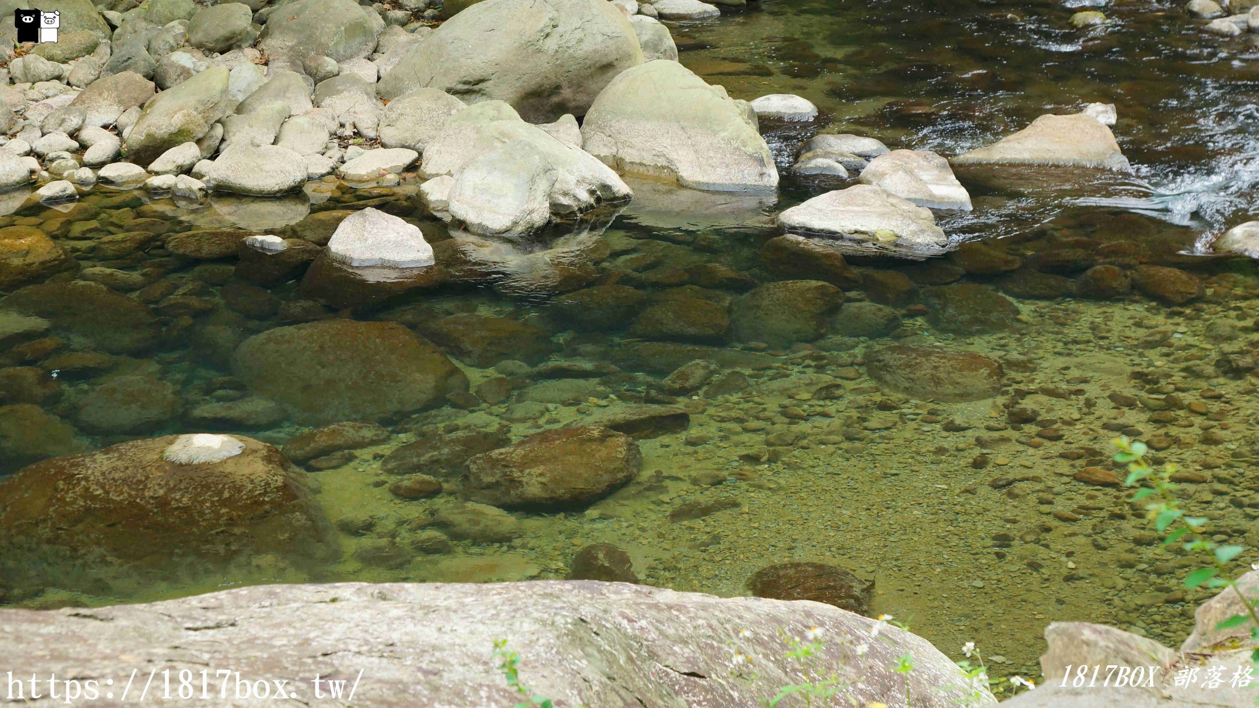 【苗栗。南庄】蓬萊溪護魚步道。欣賞水中的螢火蟲。溪水晶瑩澄澈。成群魚兒悠游