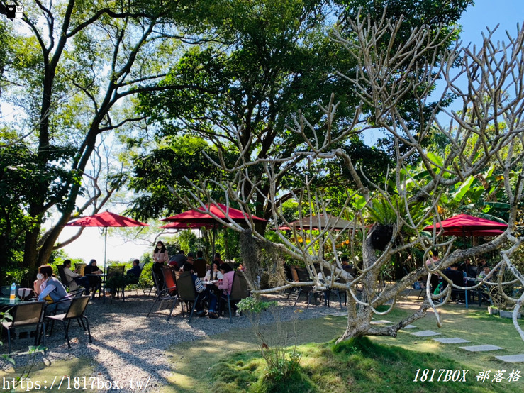 【台南。白河】雲萊山莊庭園景觀咖啡。倘佯在雲霧裡的森林咖啡館 @1817BOX部落格