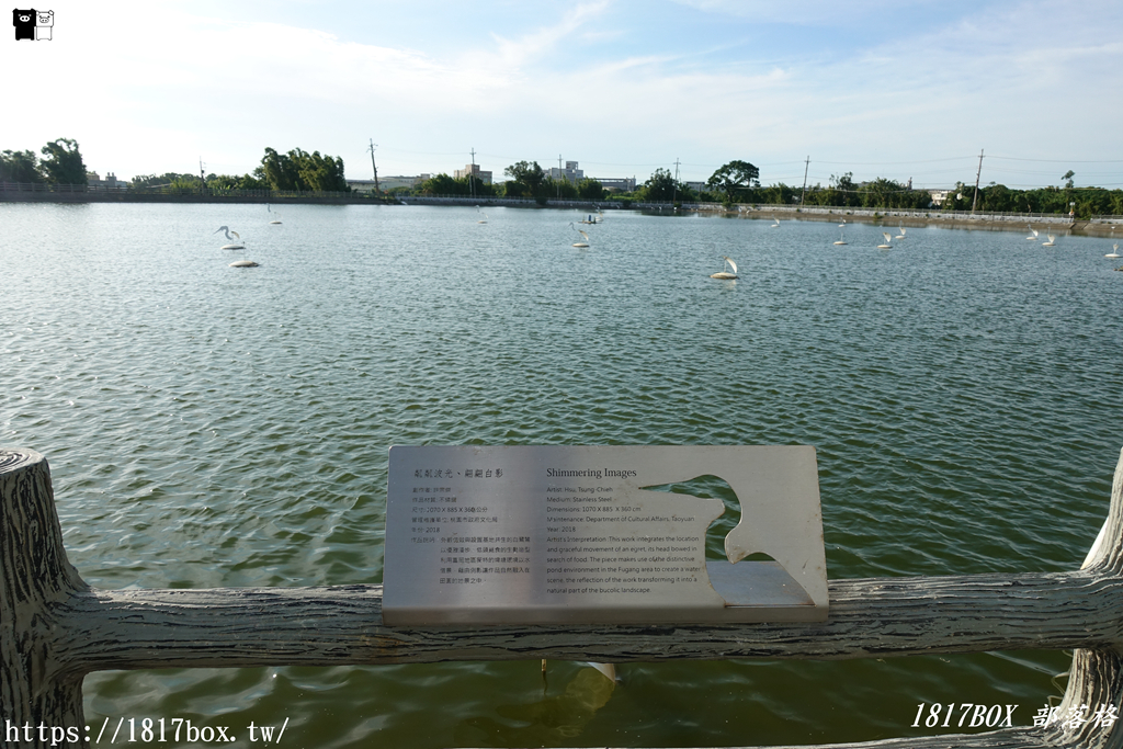 【桃園。楊梅】巨大白鷺鷥地景藝術。三連陂。粼粼波光、翩翩白影 @1817BOX部落格