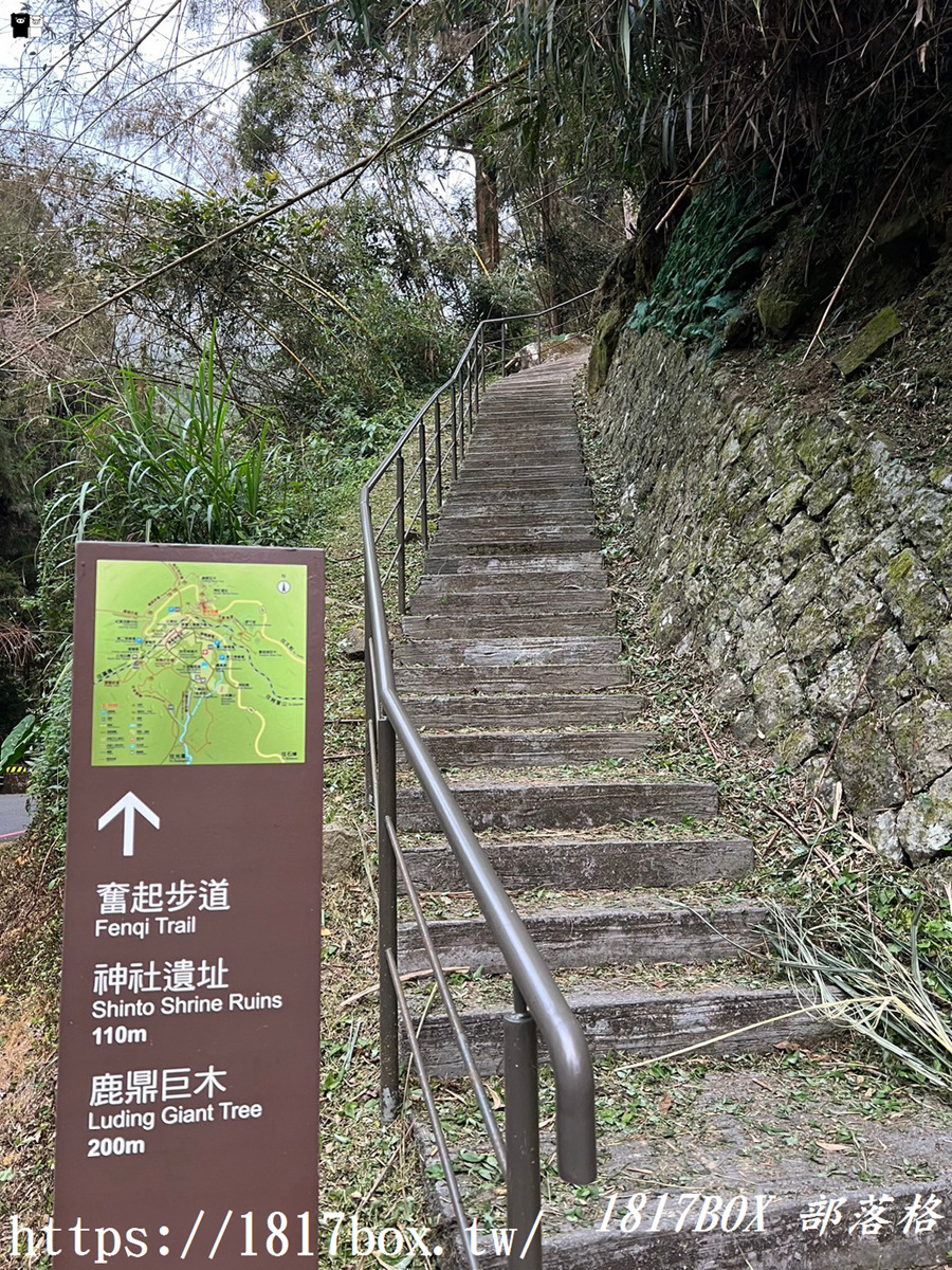 【嘉義。竹崎】奮起湖神社遺址。鹿鼎神木。深藏在海拔1405公尺綠海秘境中