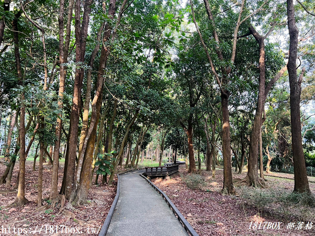 【高雄。六龜】新威森林公園。桃花心木步道。新威遊客中心。茂林國家風景區