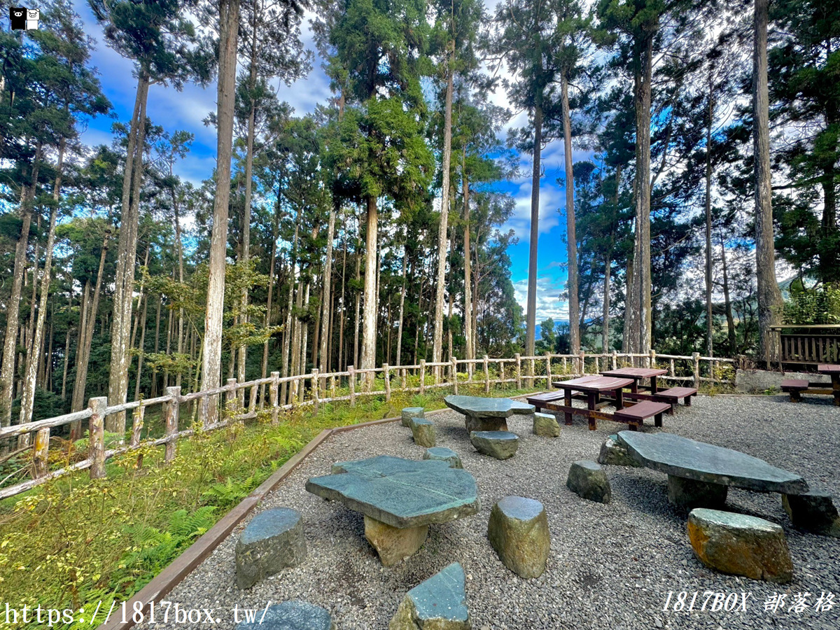 【高雄。桃源】藤枝國家森林遊樂區。迎賓步道＆樹海步道。風景分享