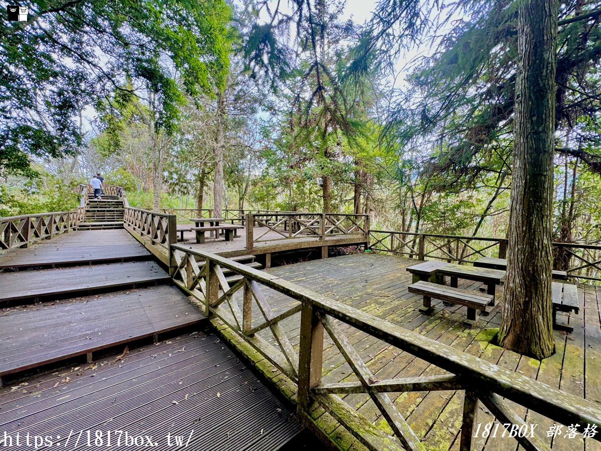 【高雄。桃源】藤枝國家森林遊樂區。瞭望台。秋海棠步道。風景分享
