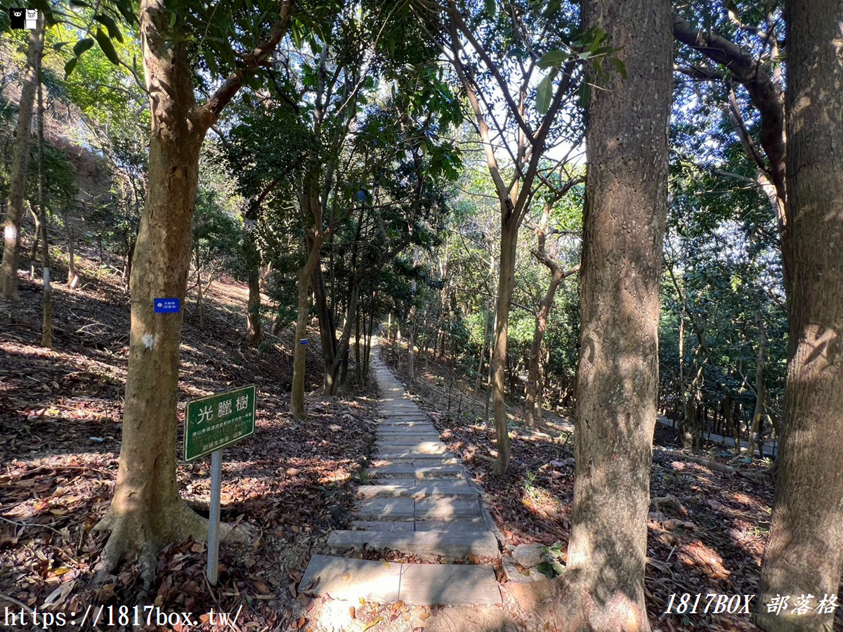 【彰化市】桃源里森林步道。三清宮步道。歡喜園生態園區。龍鳳谷森林步道