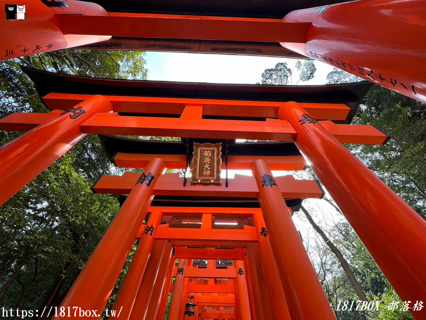 【京都景點】伏見稻荷大社。壯觀的千本鳥居。神秘的日本狐狸雕像