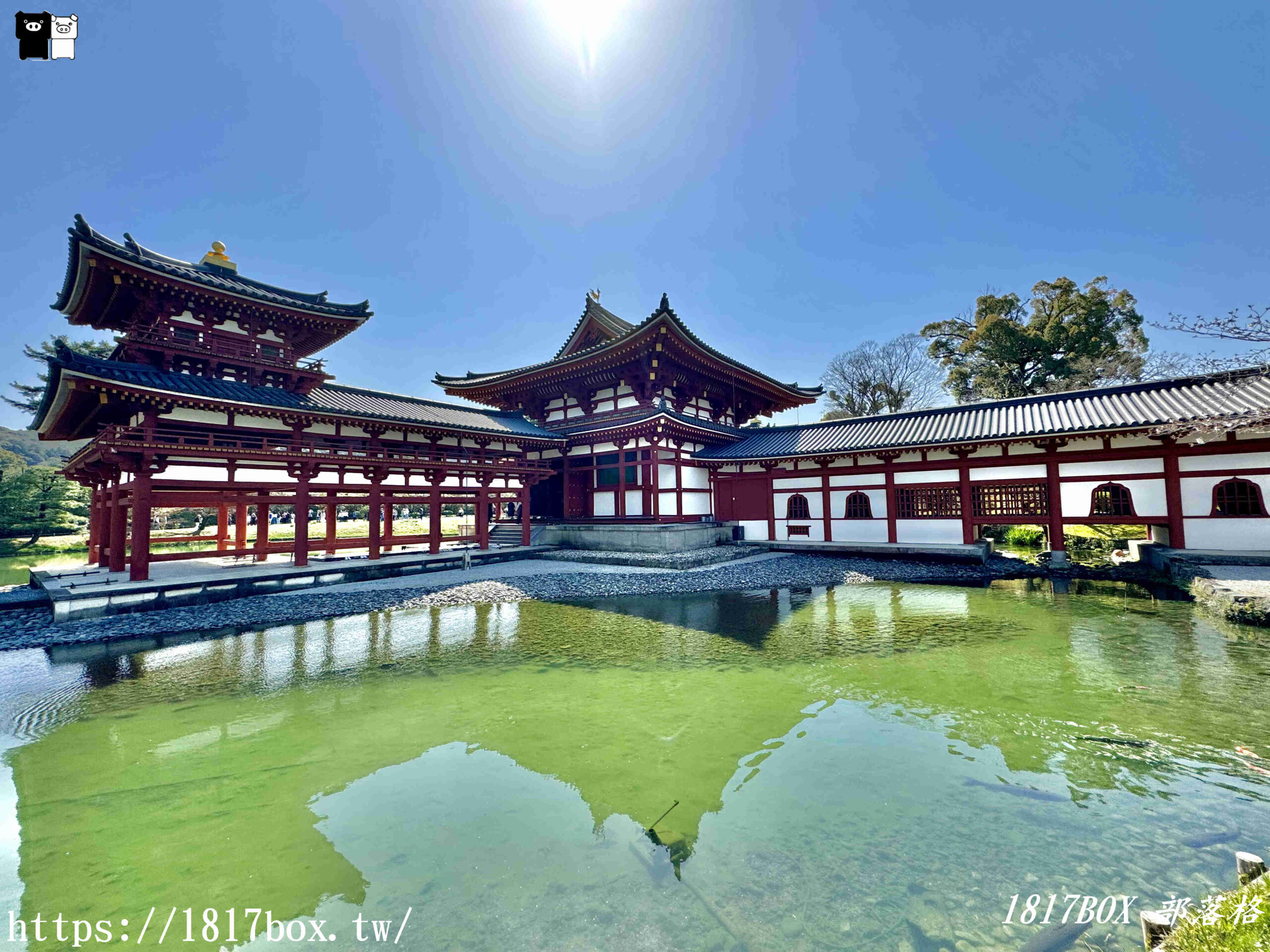 【宇治景點】世界遺產。平等院。如鏡子般倒映鳳凰堂優美姿態的阿字池。古都京都的文化財產