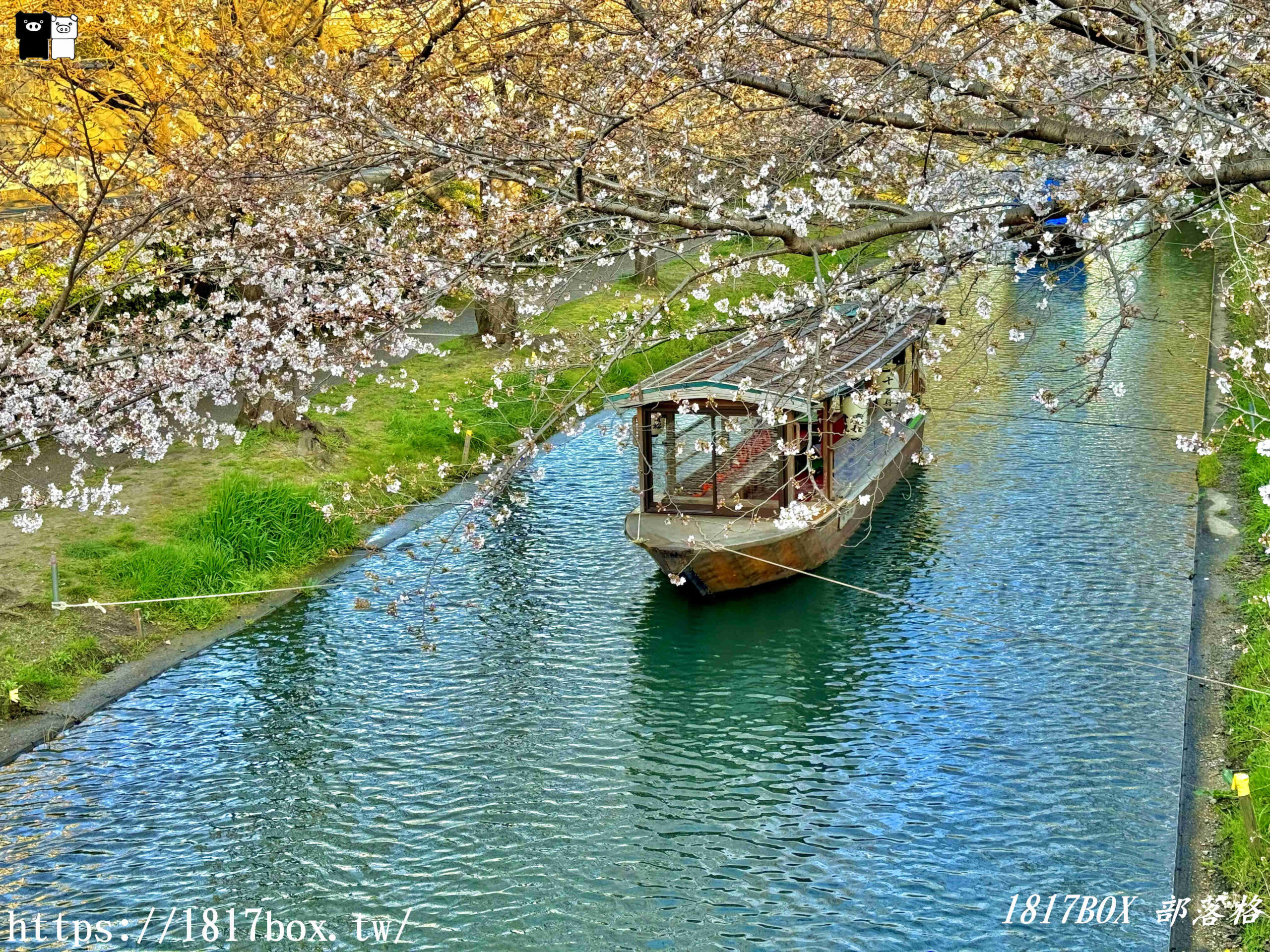 【京都景點】伏見十石舟。欣賞日本酒鄉的風景。京都郊區賞櫻秘境