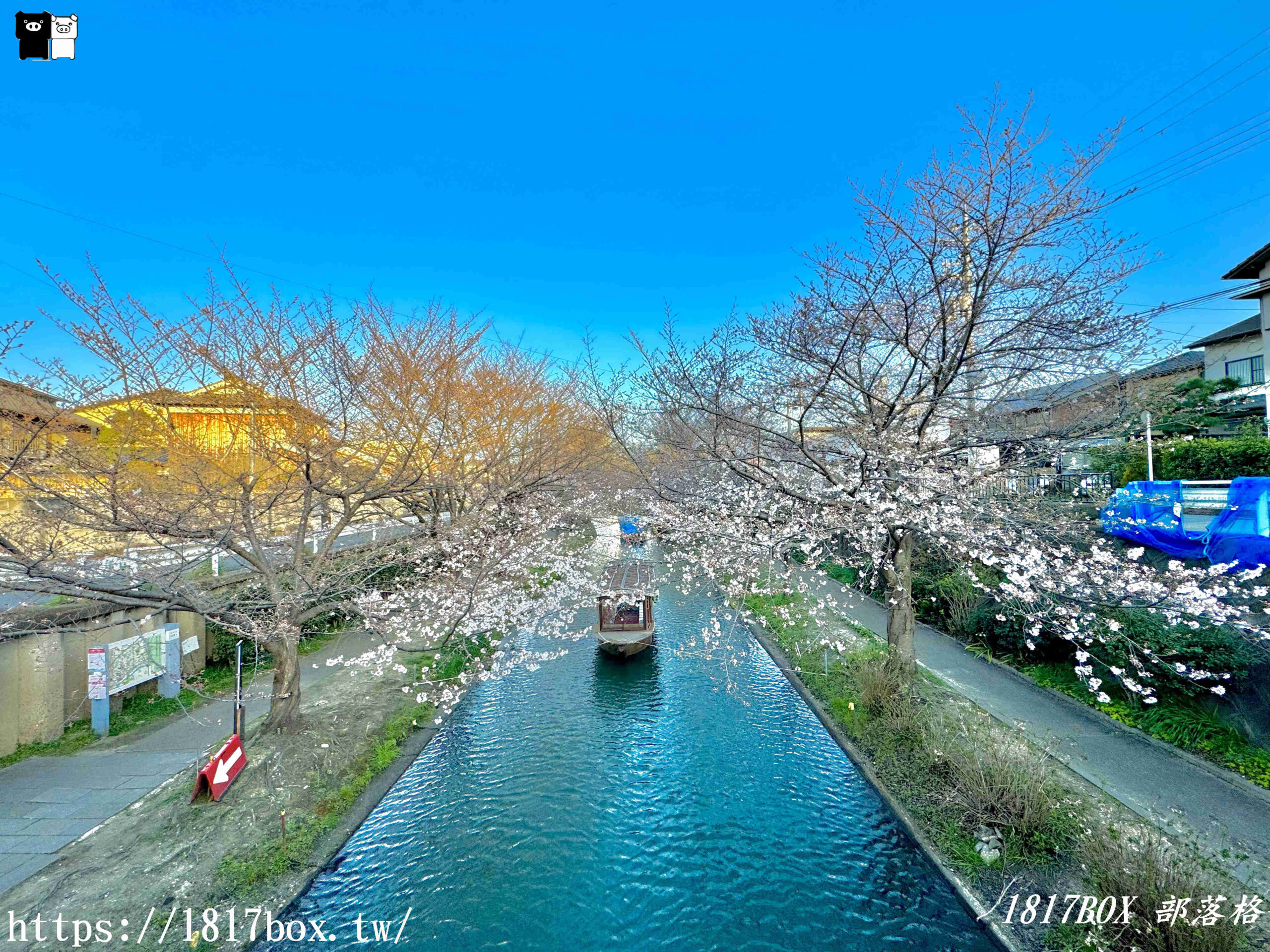 【京都景點】伏見十石舟。欣賞日本酒鄉的風景。京都郊區賞櫻秘境