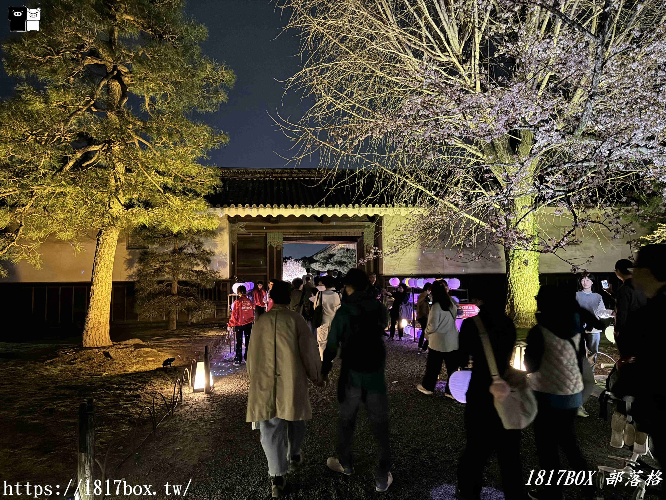 【京都景點】京都二條城。NAKED櫻花祭。夜櫻光雕秀夢幻登場