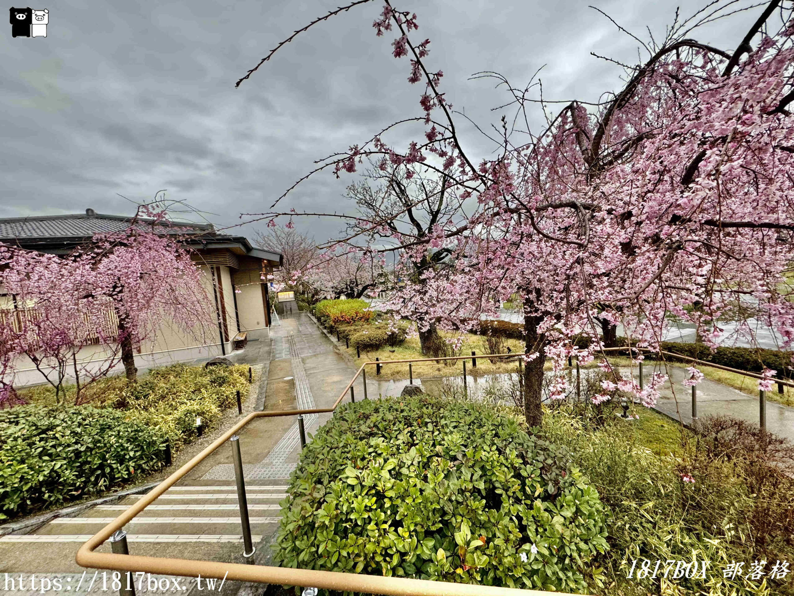 【京都景點】京都嵐山温泉。風風之湯。湯浴處。櫻花季可以賞櫻