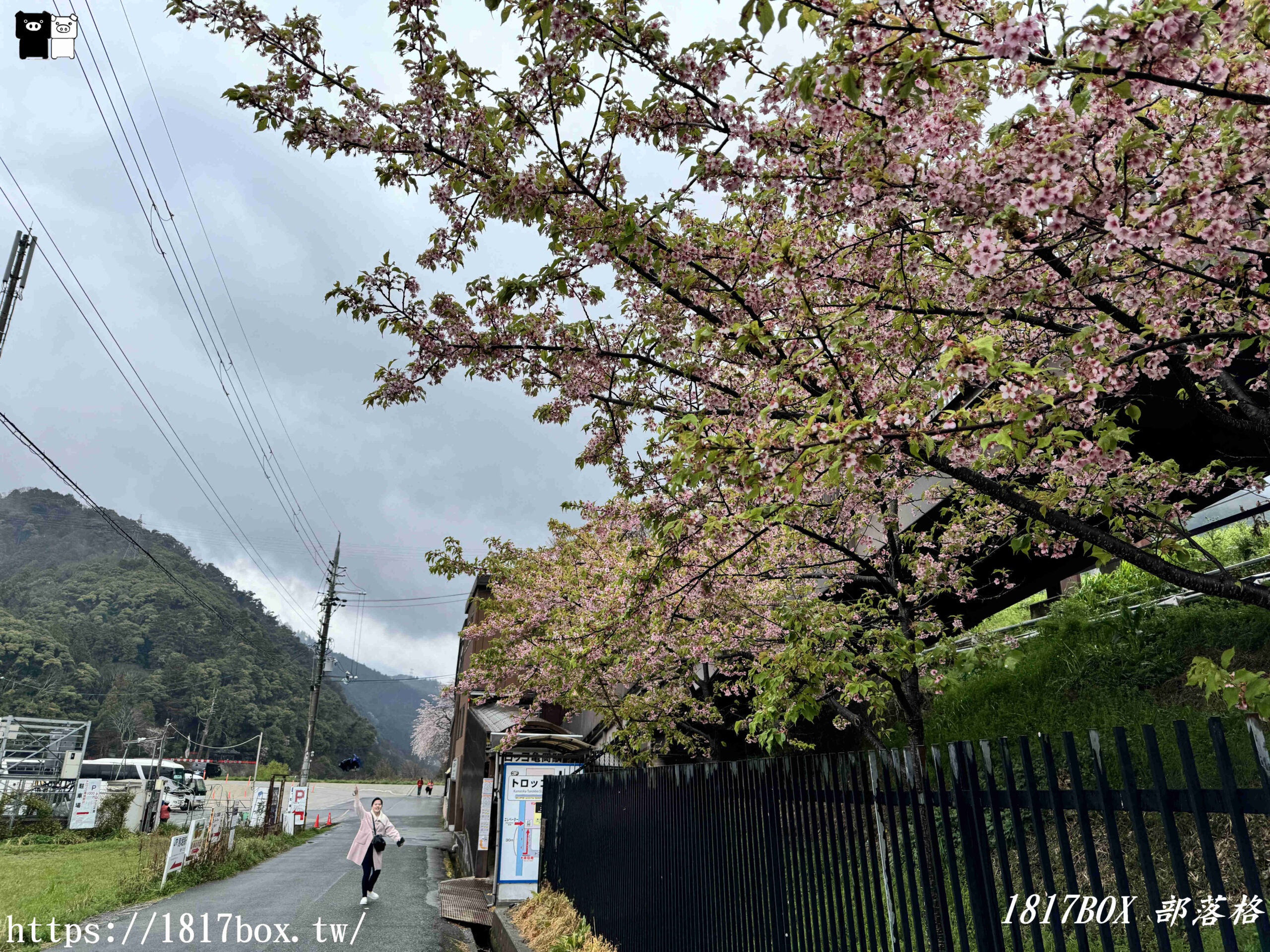 【京都景點】嵐山・嵯峨野觀光鐵路。嵐山小火車龜岡站。令人驚嘆的美景。復古火車帶來的有趣旅程