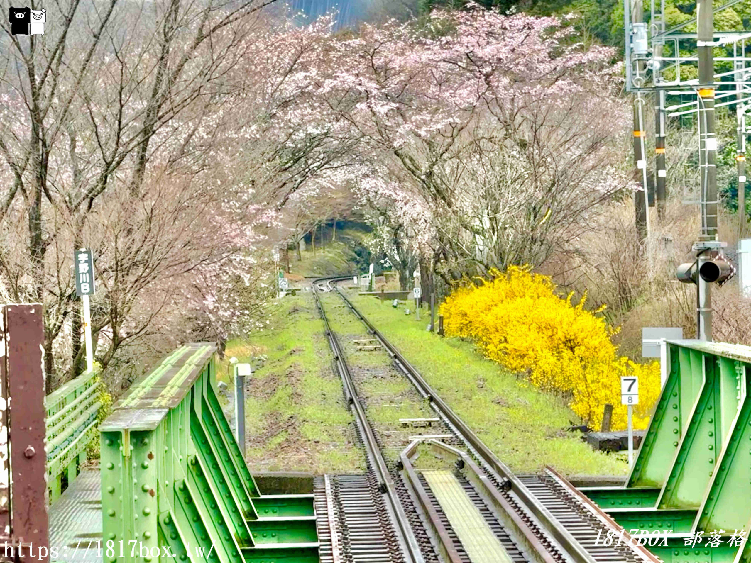 【京都景點】嵐山・嵯峨野觀光鐵路。嵐山小火車龜岡站。令人驚嘆的美景。復古火車帶來的有趣旅程