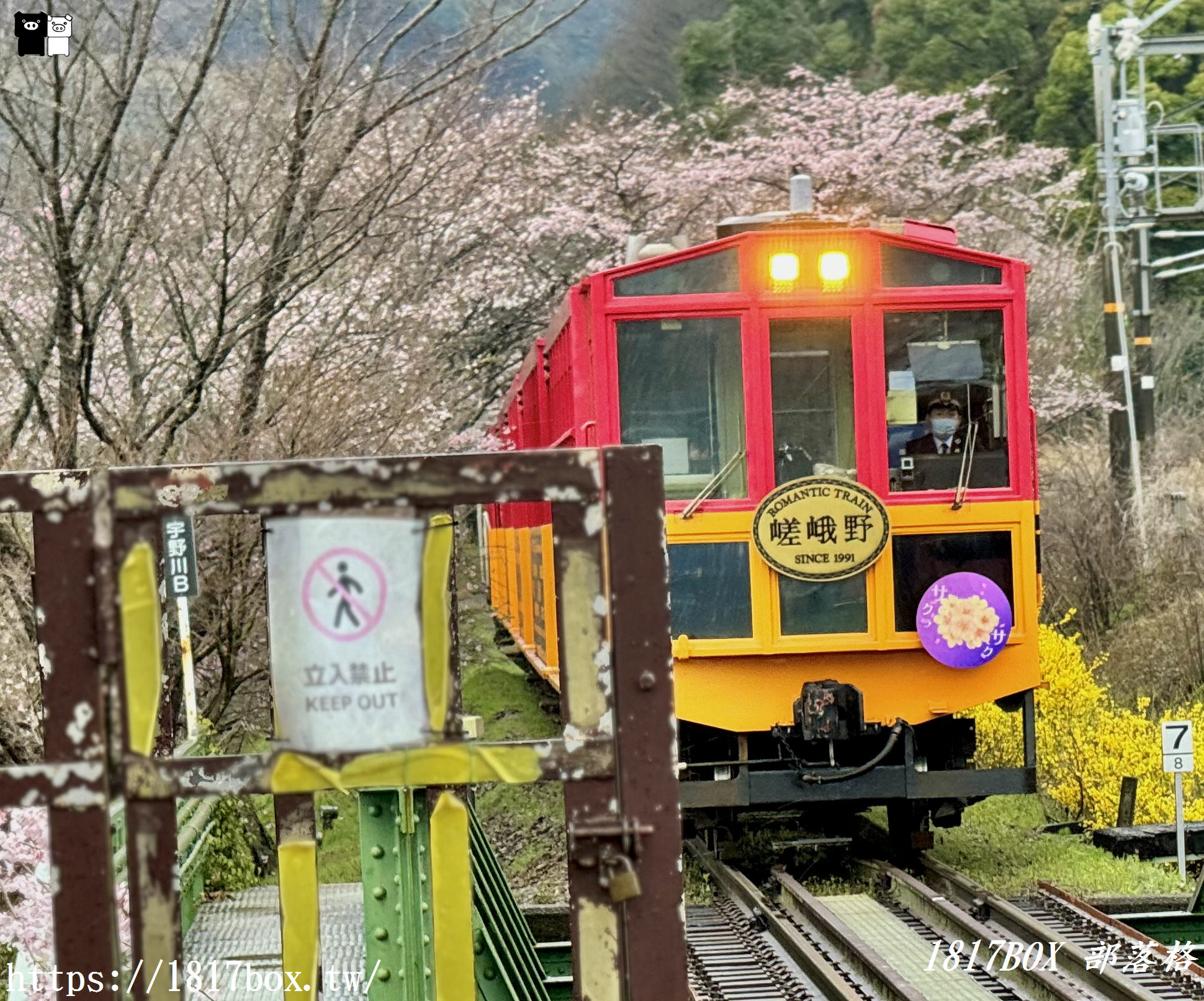 【京都景點】嵐山・嵯峨野觀光鐵路。嵐山小火車龜岡站。令人驚嘆的美景。復古火車帶來的有趣旅程