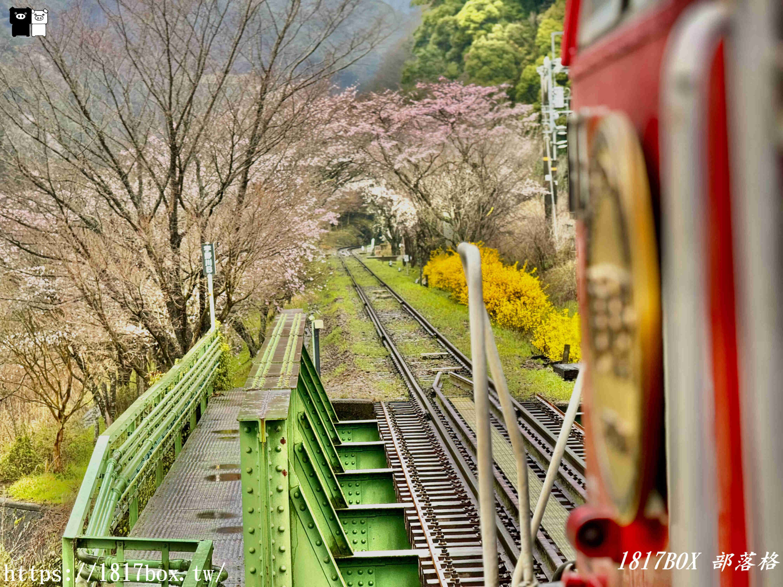 【京都景點】嵐山・嵯峨野觀光鐵路。嵐山小火車龜岡站。令人驚嘆的美景。復古火車帶來的有趣旅程