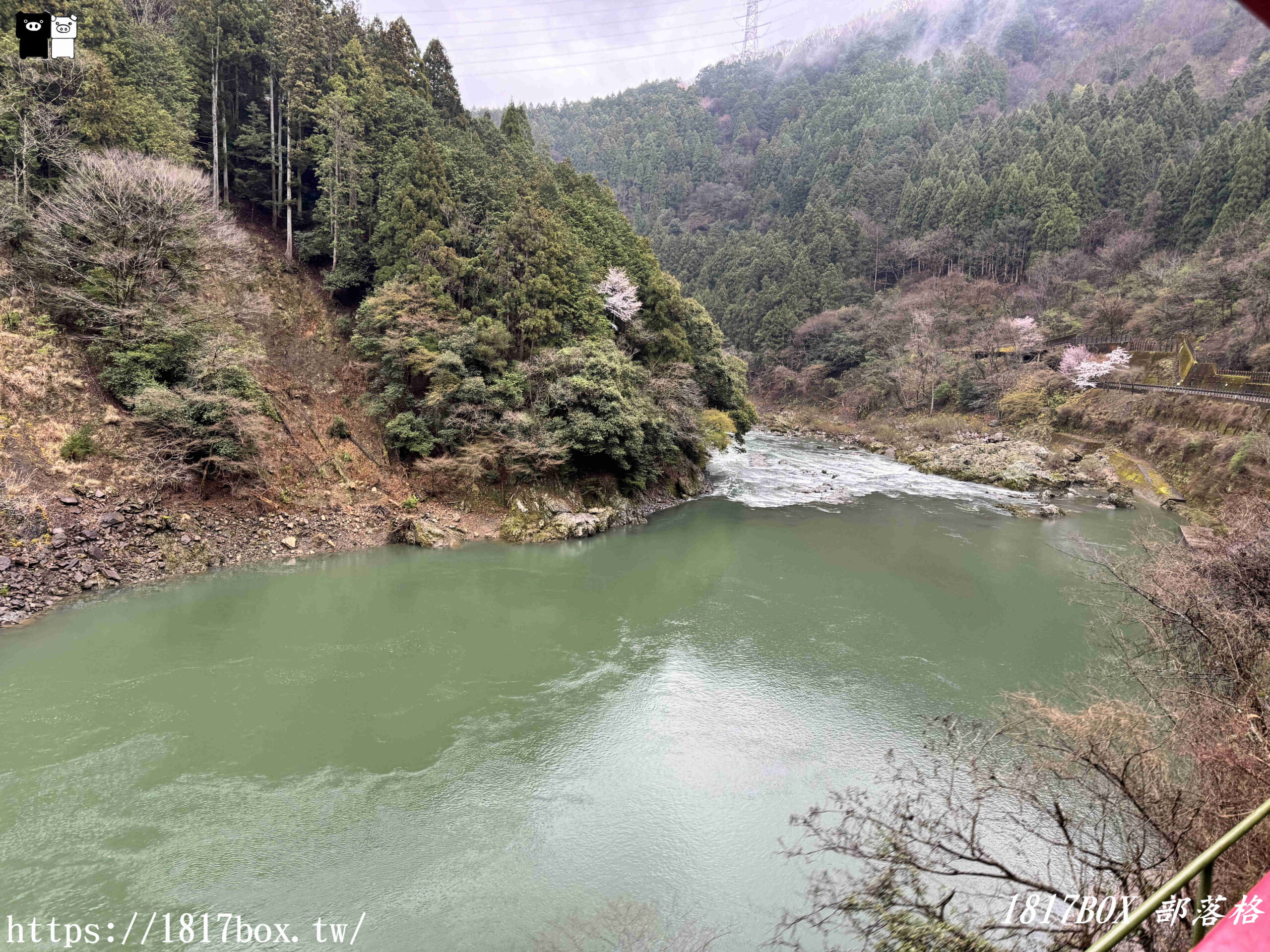 【京都景點】嵐山・嵯峨野觀光鐵路。嵐山小火車龜岡站。令人驚嘆的美景。復古火車帶來的有趣旅程