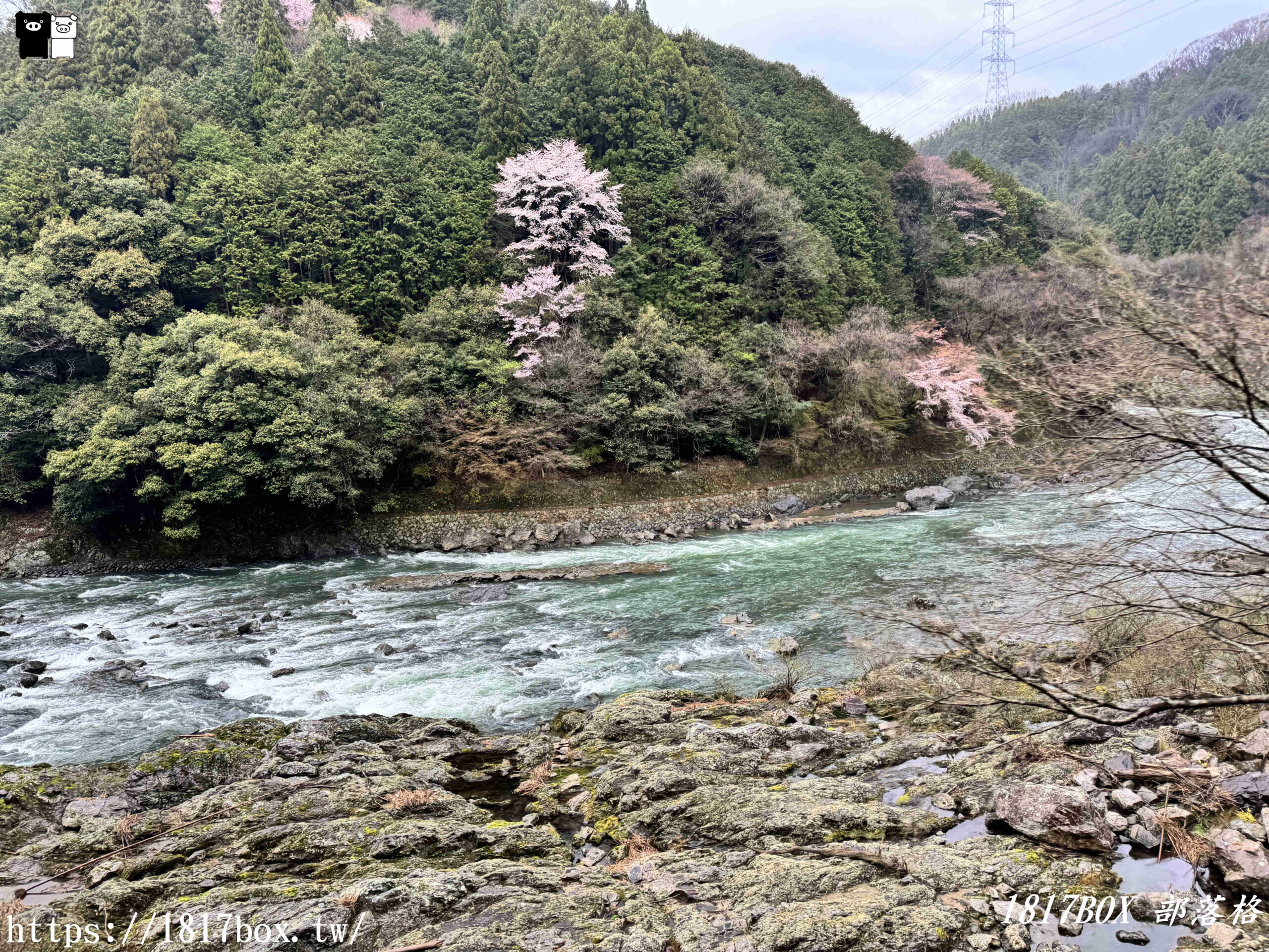 【京都景點】嵐山・嵯峨野觀光鐵路。嵐山小火車龜岡站。令人驚嘆的美景。復古火車帶來的有趣旅程