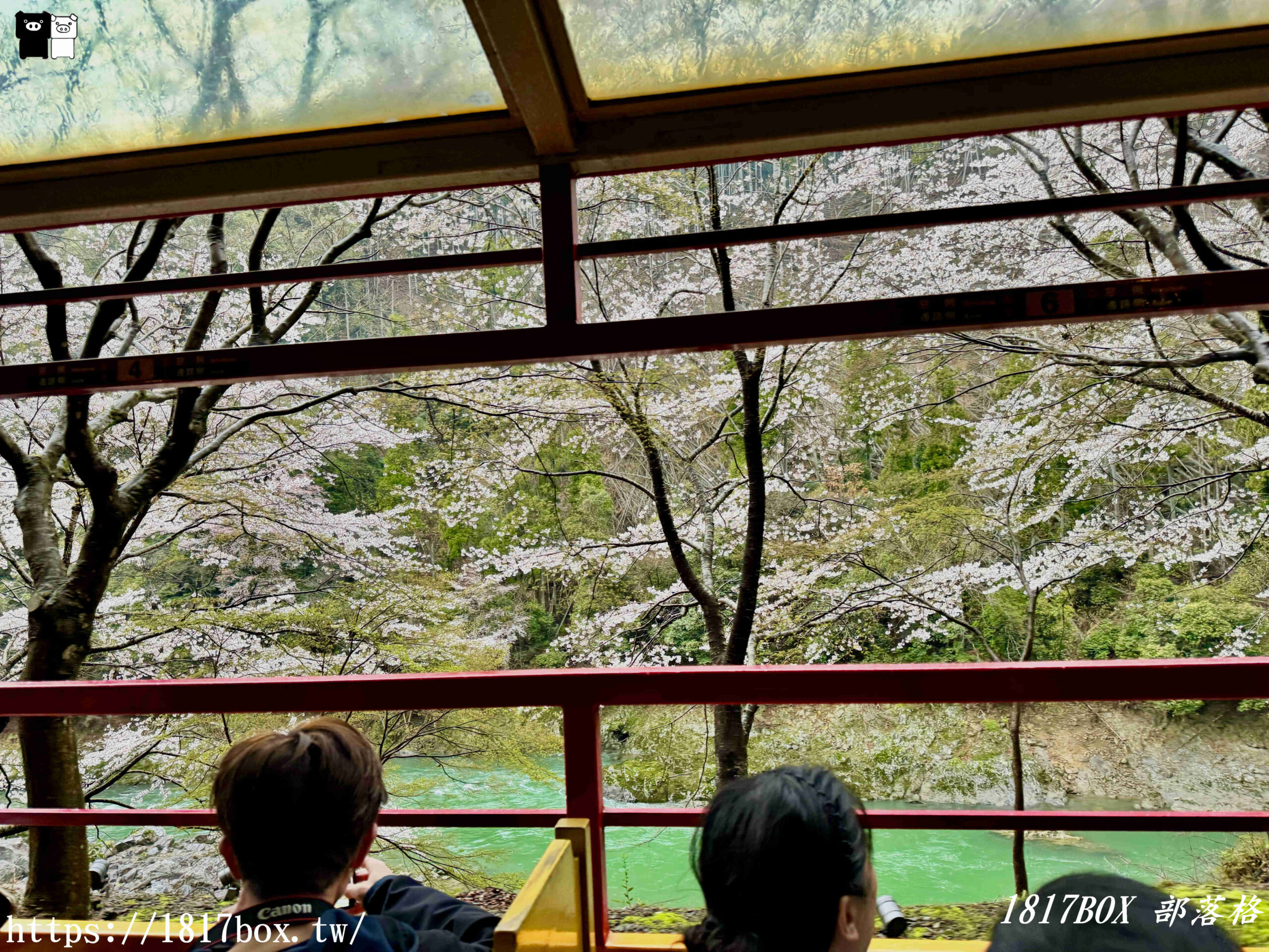 【京都景點】嵐山・嵯峨野觀光鐵路。嵐山小火車龜岡站。令人驚嘆的美景。復古火車帶來的有趣旅程