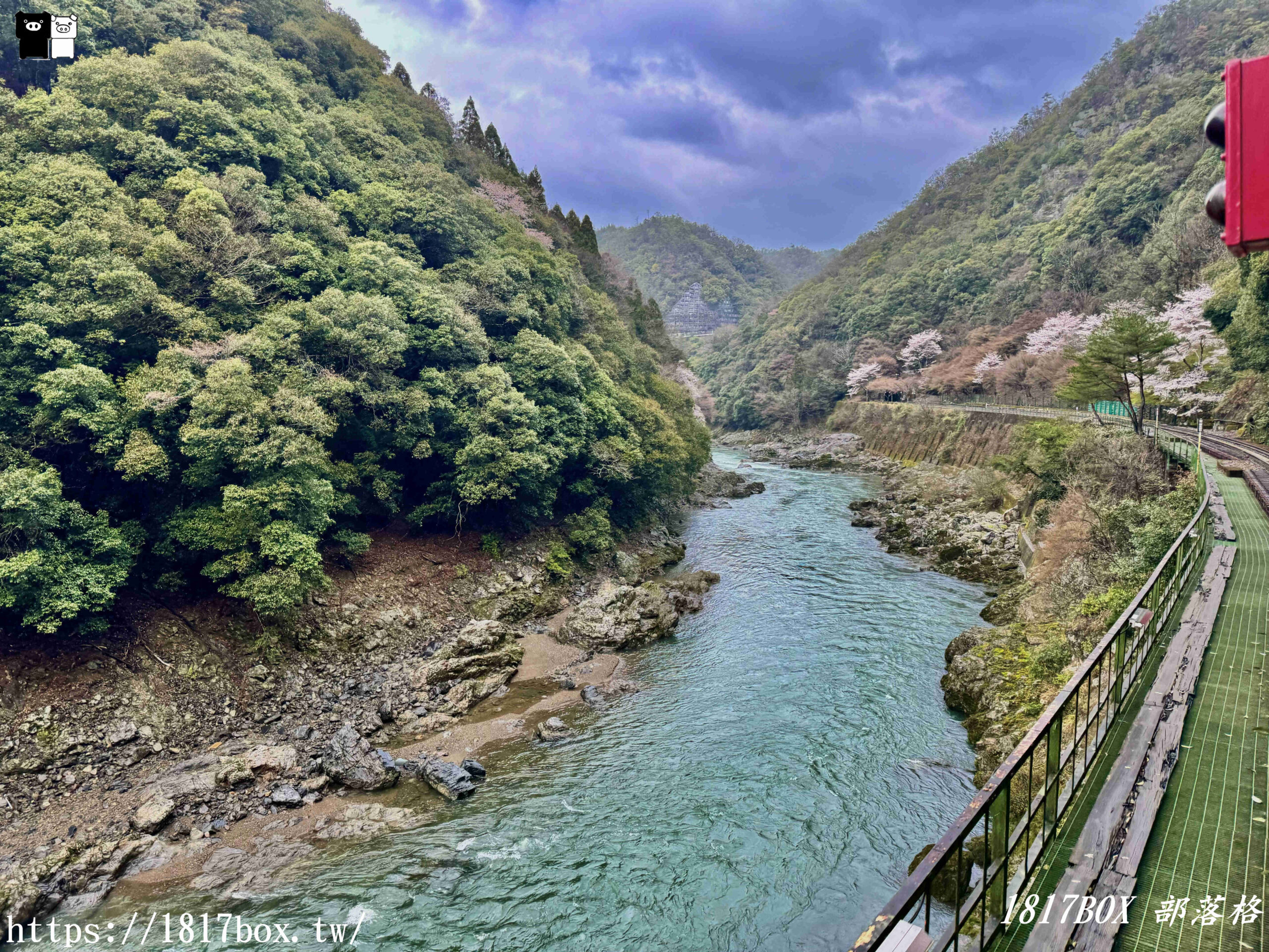 【京都景點】嵐山・嵯峨野觀光鐵路。嵐山小火車龜岡站。令人驚嘆的美景。復古火車帶來的有趣旅程