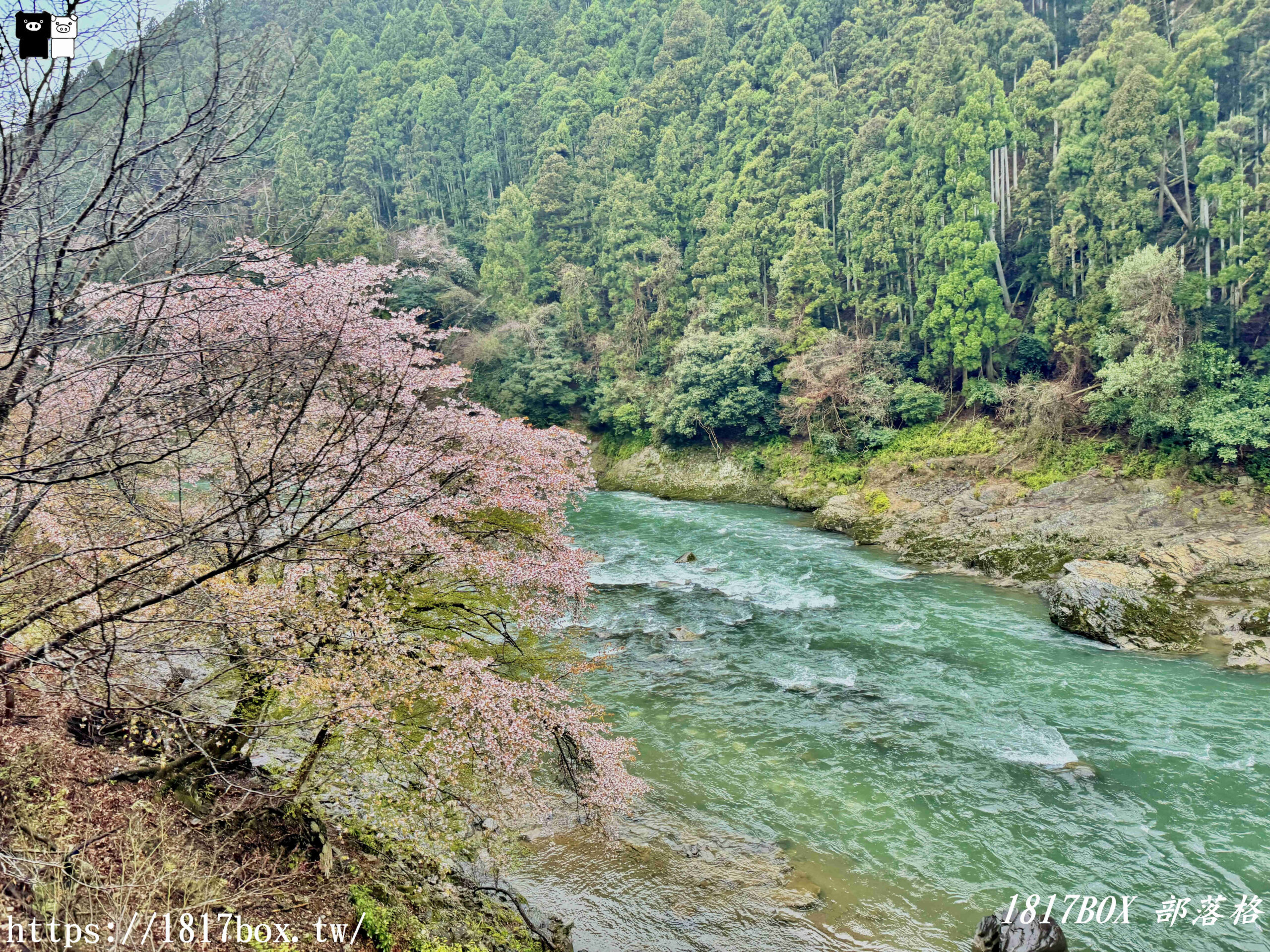 【京都景點】嵐山・嵯峨野觀光鐵路。嵐山小火車龜岡站。令人驚嘆的美景。復古火車帶來的有趣旅程