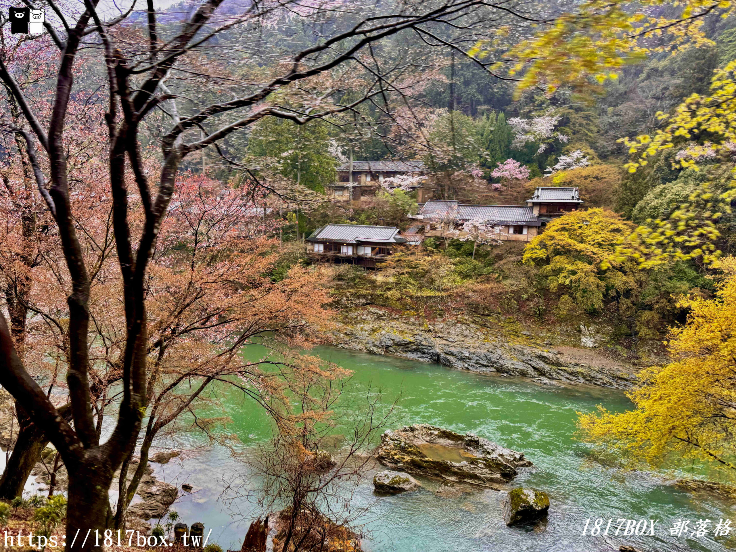 【京都景點】嵐山・嵯峨野觀光鐵路。嵐山小火車龜岡站。令人驚嘆的美景。復古火車帶來的有趣旅程