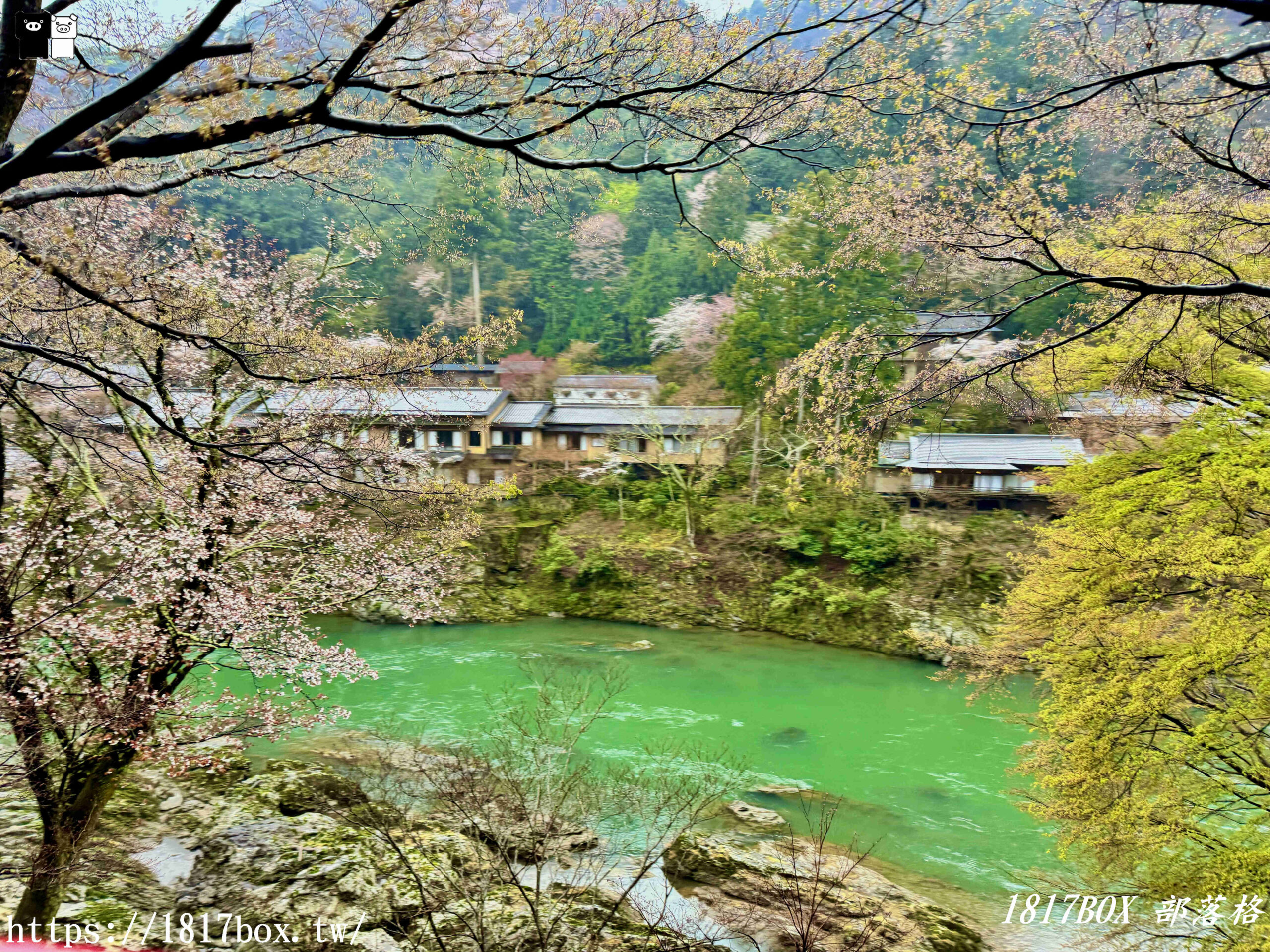 【京都景點】嵐山・嵯峨野觀光鐵路。嵐山小火車龜岡站。令人驚嘆的美景。復古火車帶來的有趣旅程