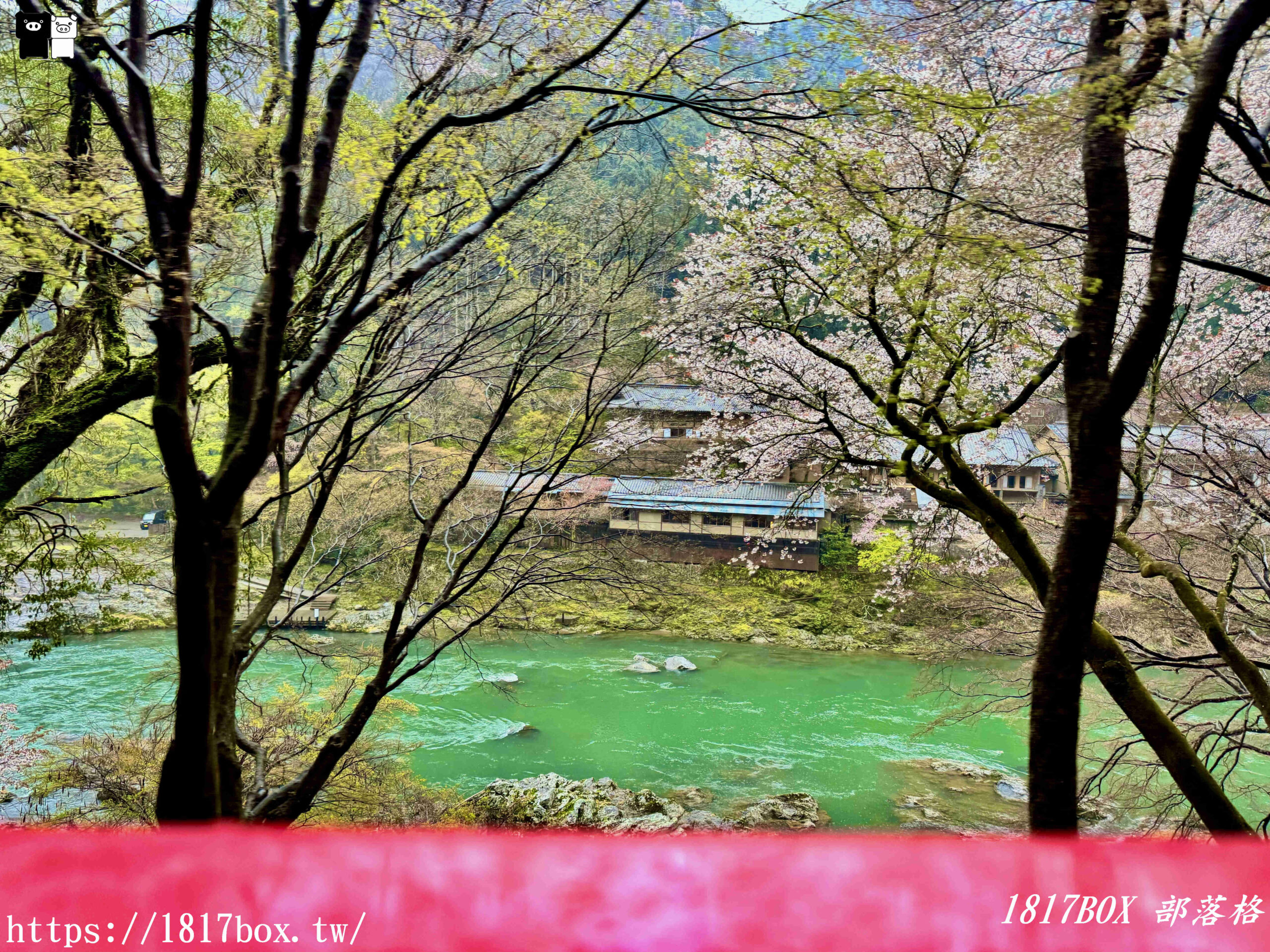 【京都景點】嵐山・嵯峨野觀光鐵路。嵐山小火車龜岡站。令人驚嘆的美景。復古火車帶來的有趣旅程