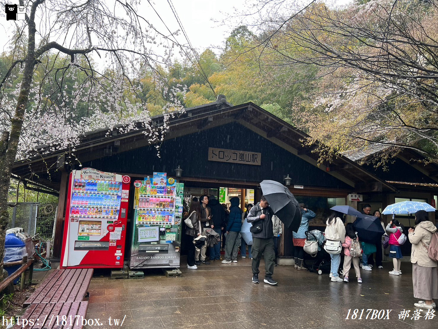 【京都景點】嵐山・嵯峨野觀光鐵路。嵐山小火車龜岡站。令人驚嘆的美景。復古火車帶來的有趣旅程