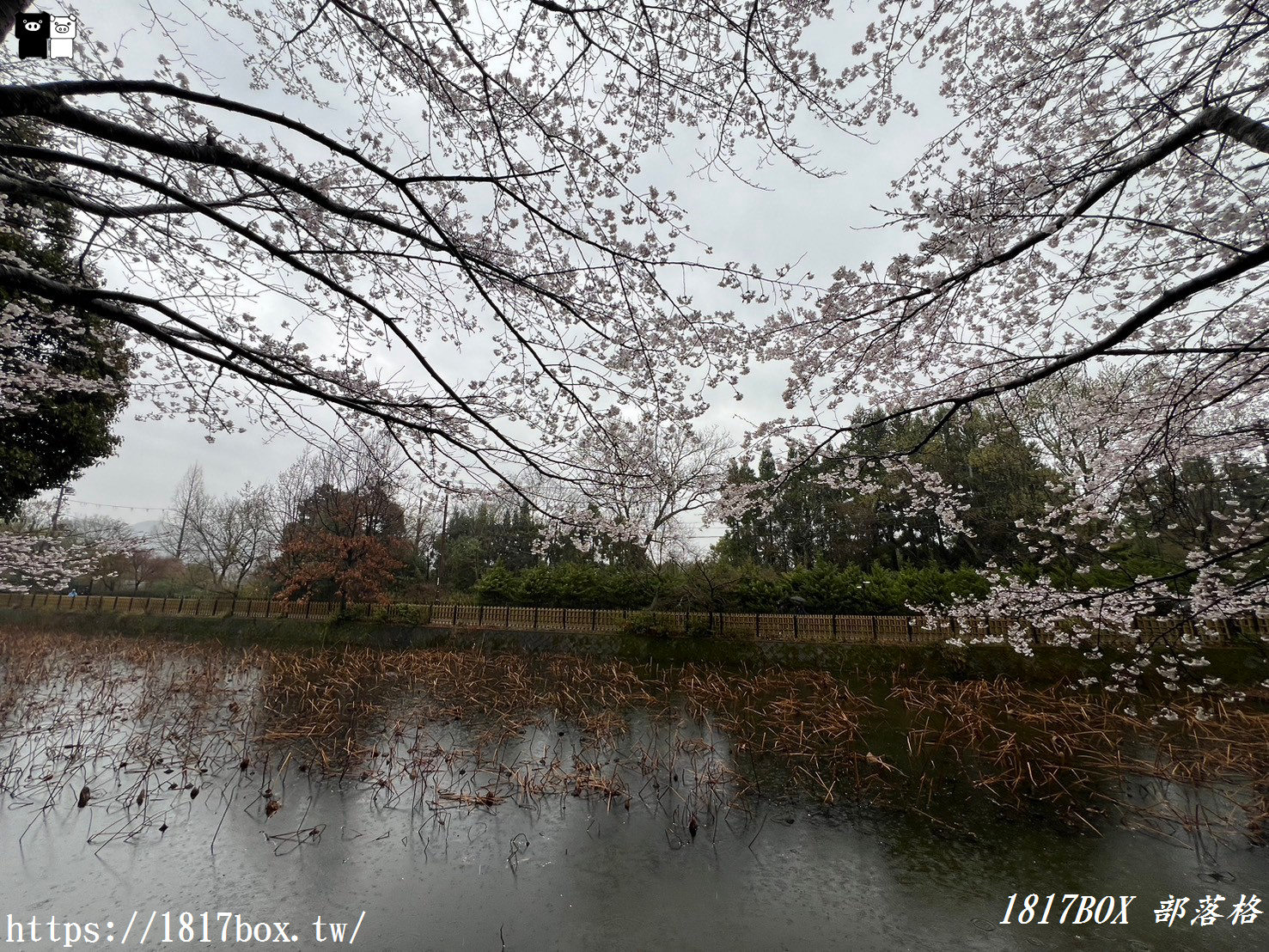 【京都景點】御髪神社。日本唯一祈求理髮美容的神社。想擁有一頭美髮。此處便是必遊之地