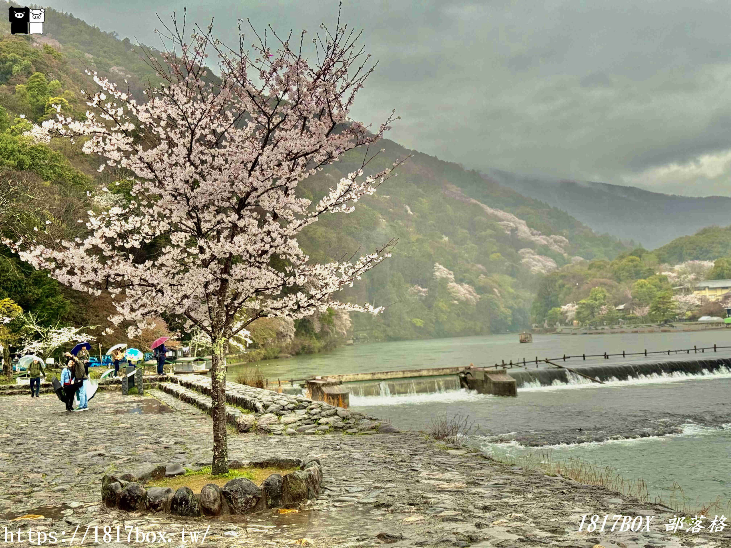 【京都景點】渡月橋。屋形船。嵐山公園。體驗日本四季風情。自然景色優美