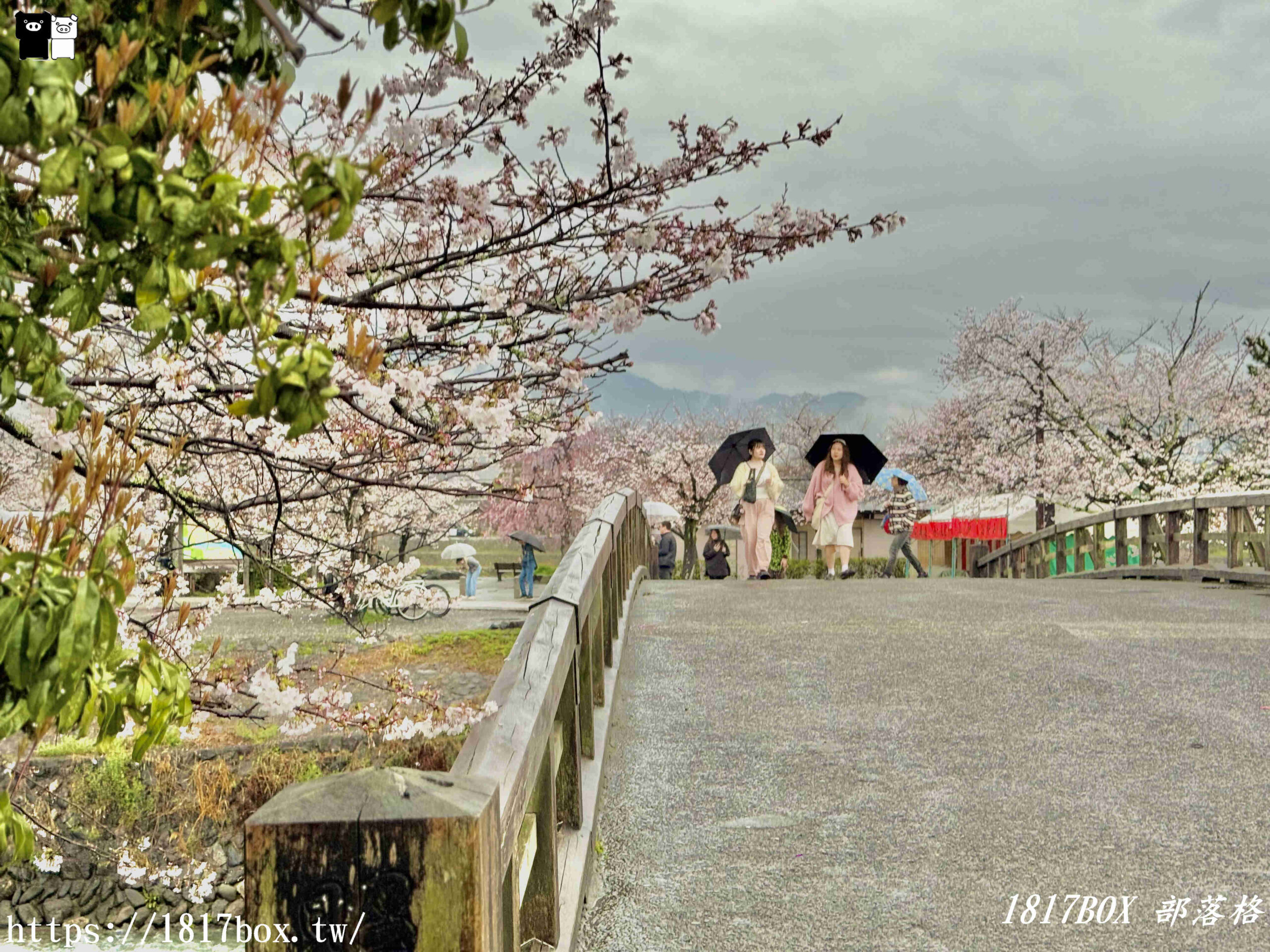 【京都景點】渡月橋。屋形船。嵐山公園。體驗日本四季風情。自然景色優美