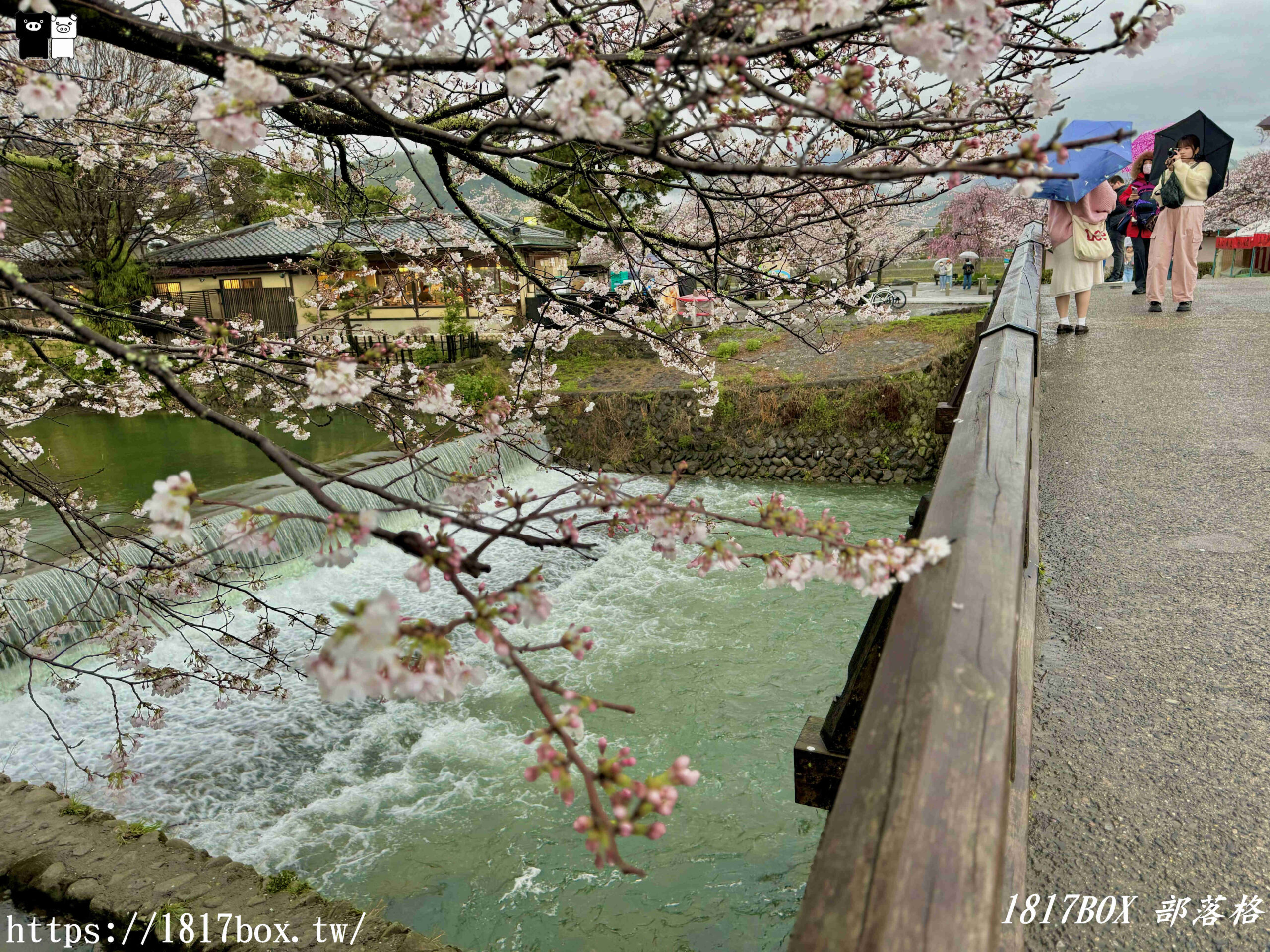 【京都景點】渡月橋。屋形船。嵐山公園。體驗日本四季風情。自然景色優美