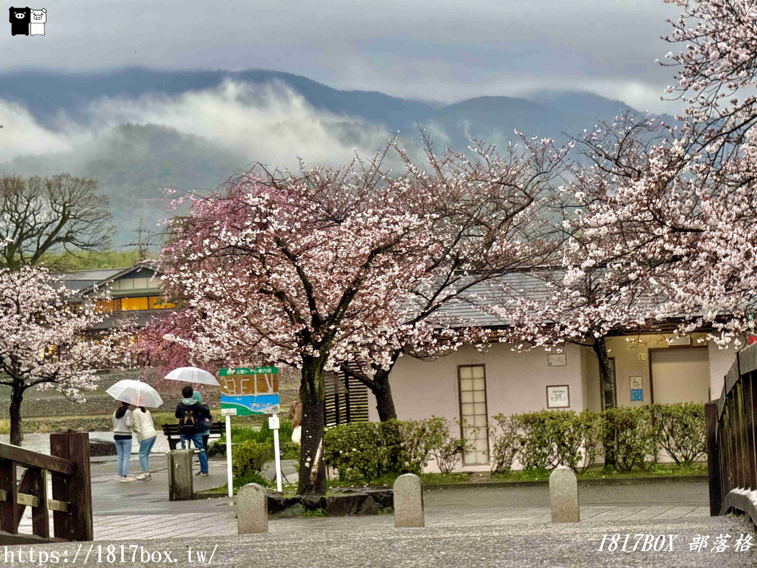 【京都景點】渡月橋。屋形船。嵐山公園。體驗日本四季風情。自然景色優美