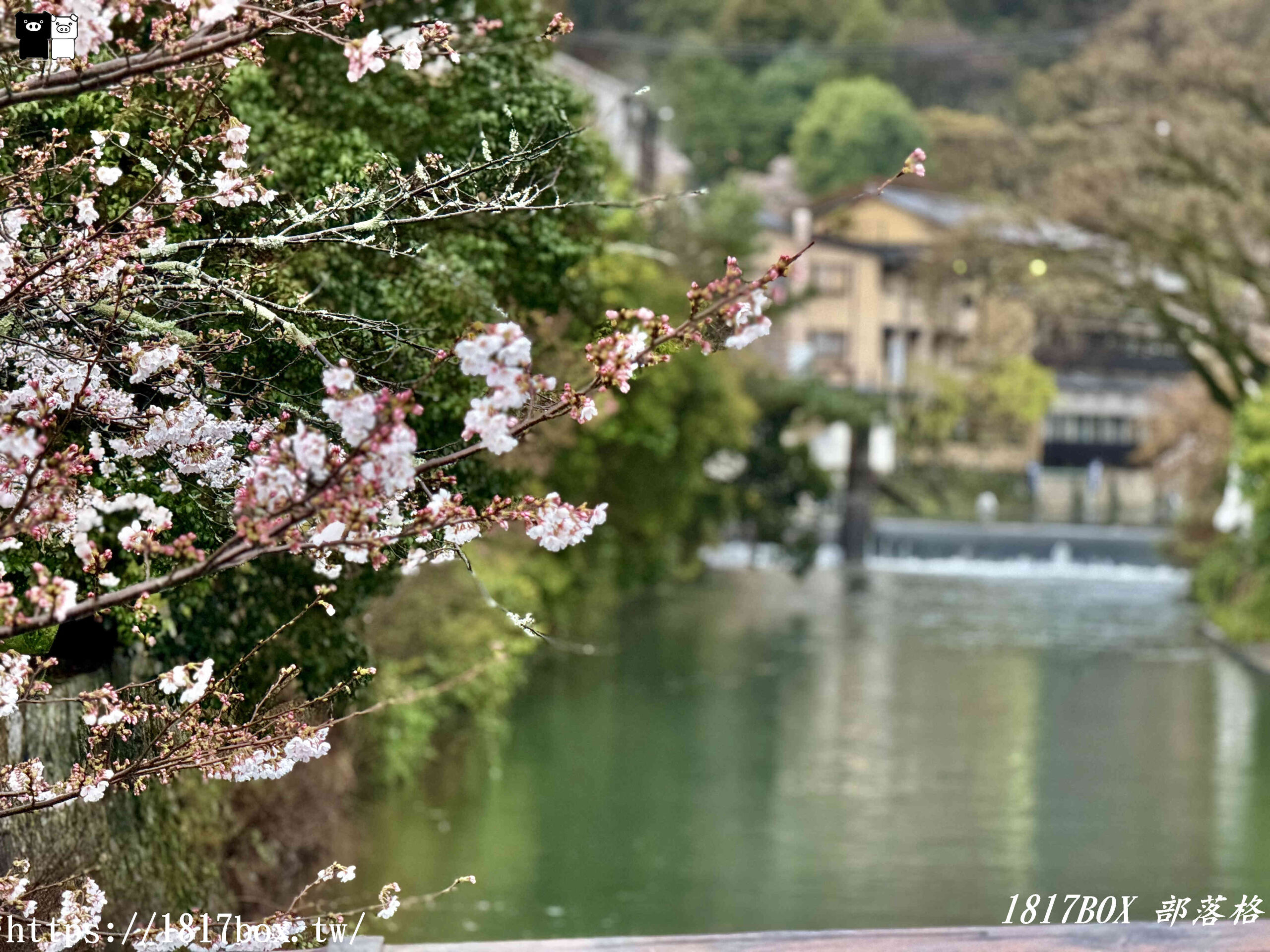 【京都景點】渡月橋。屋形船。嵐山公園。體驗日本四季風情。自然景色優美