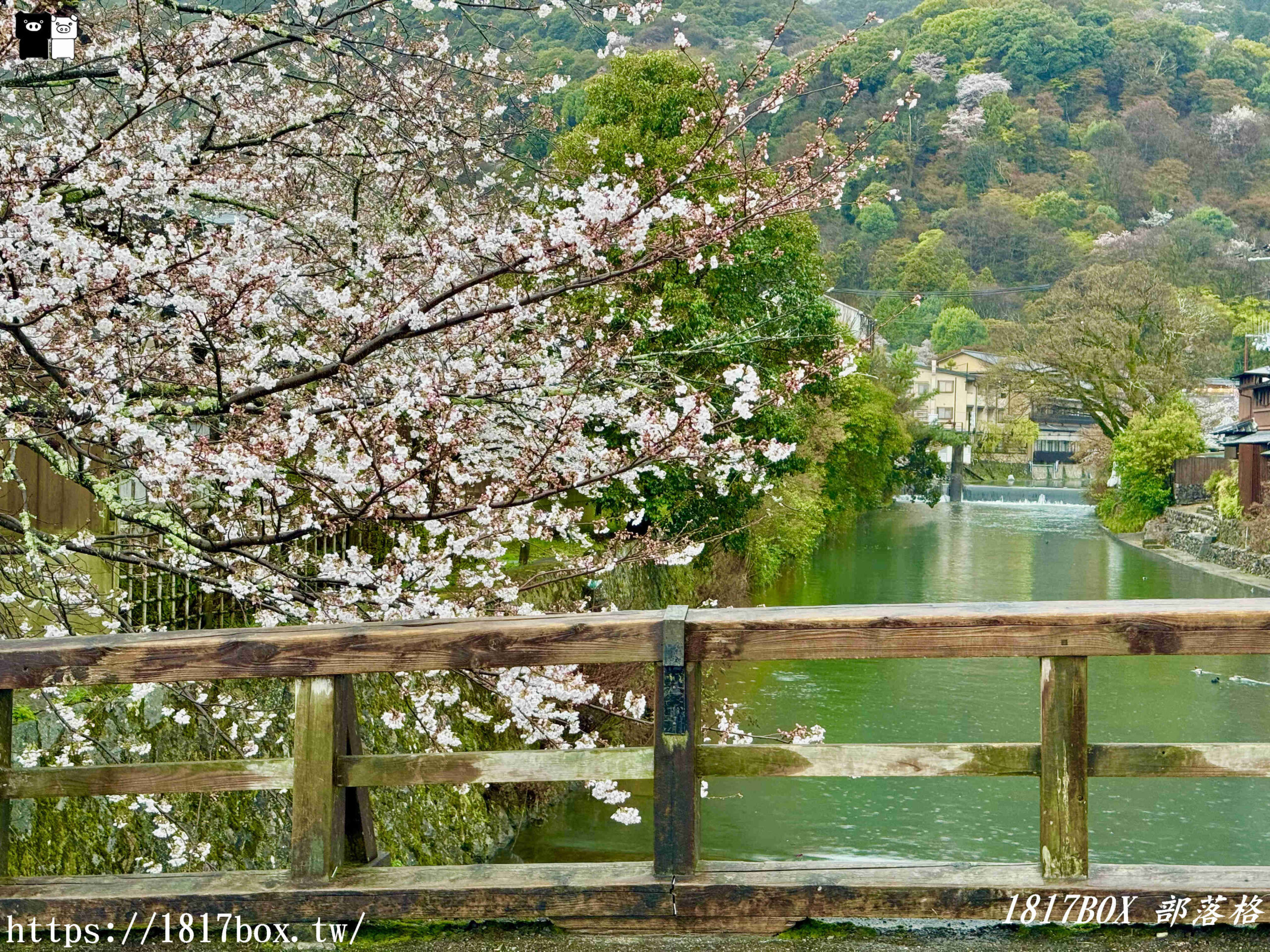 【京都景點】渡月橋。屋形船。嵐山公園。體驗日本四季風情。自然景色優美