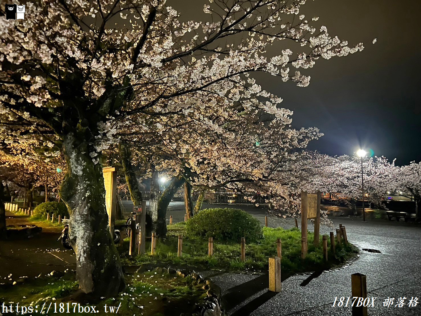 【京都景點】渡月橋。屋形船。嵐山公園。體驗日本四季風情。自然景色優美