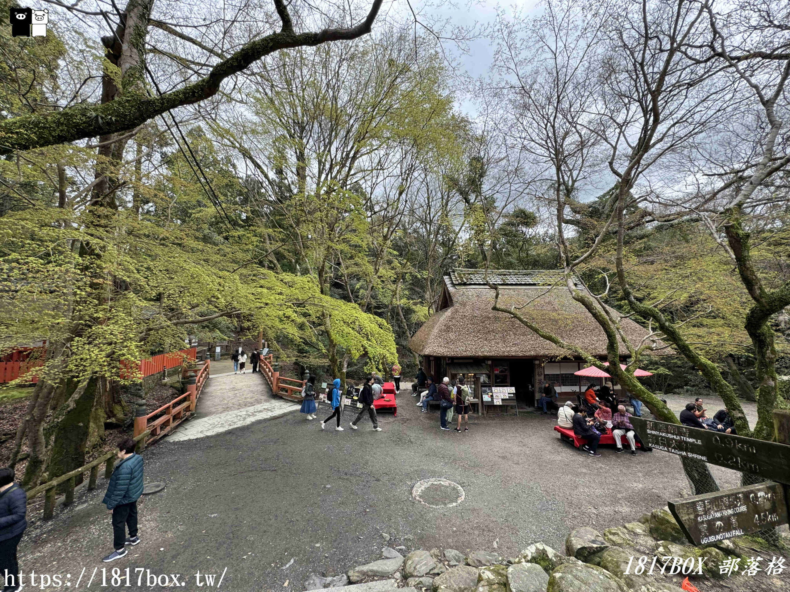 【奈良美食】水谷茶屋。隱藏在奈良公園裡的小合掌屋。在超夢幻小茅葺屋裡吃烏龍麵和甜點