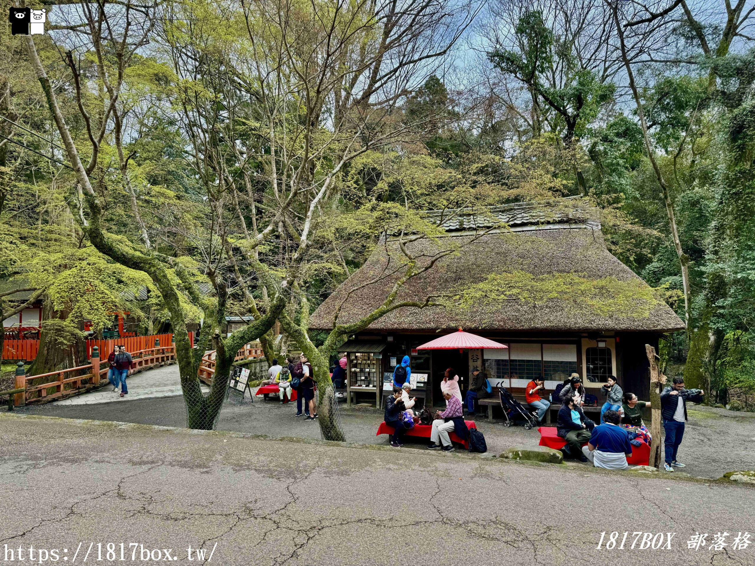 【奈良美食】水谷茶屋。隱藏在奈良公園裡的小合掌屋。在超夢幻小茅葺屋裡吃烏龍麵和甜點